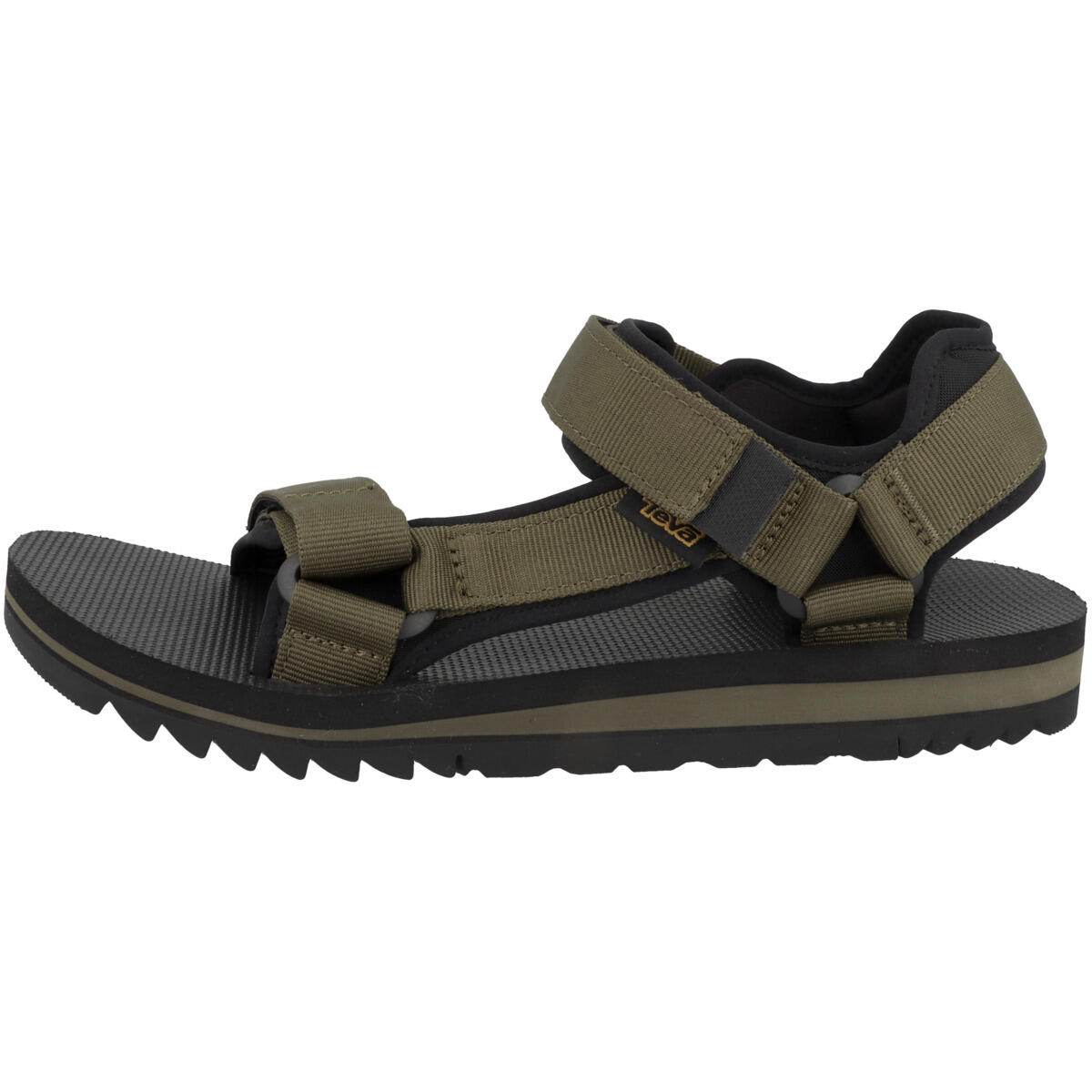TEVA picture