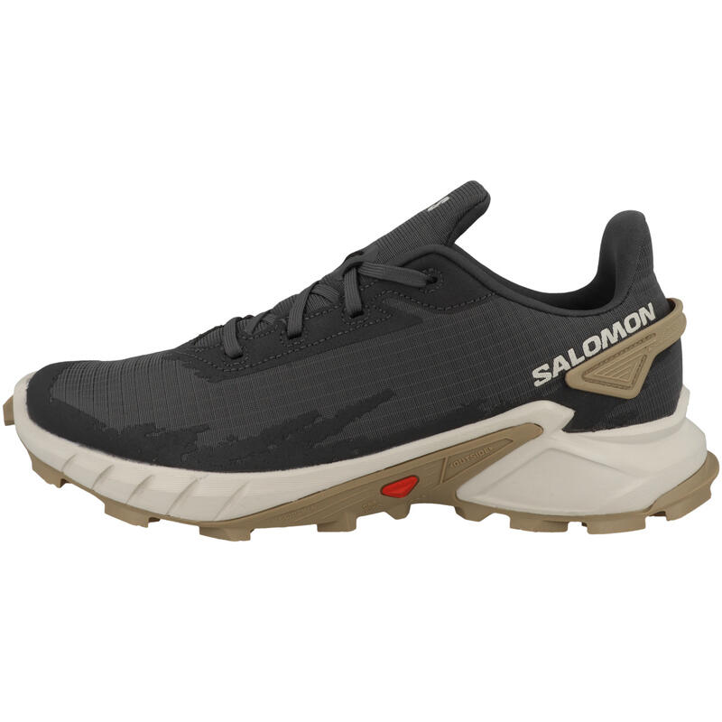 Baskets Salomon Alphacross 4, Gris, Hommes