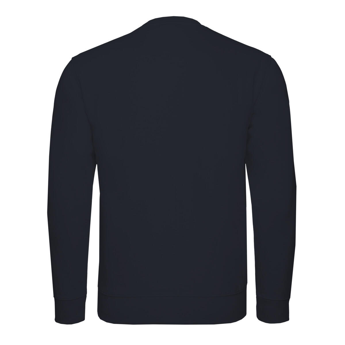 Sweat Champion modèle 217995-BS501 pour unisexe 2/3