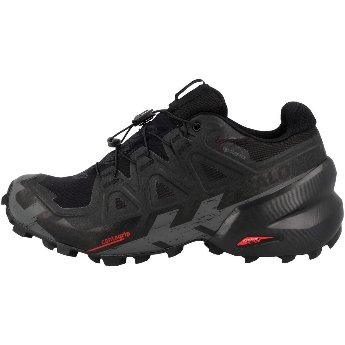 SALOMON picture
