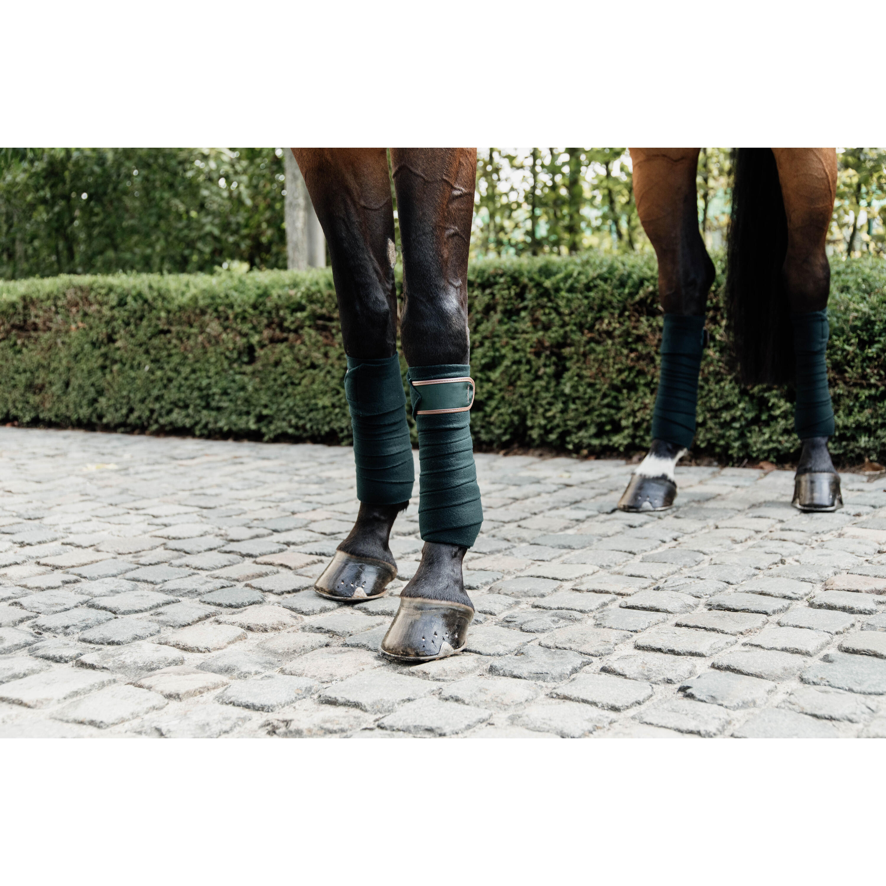 Bandes de polo pour cheval polaire Kentucky 2/7