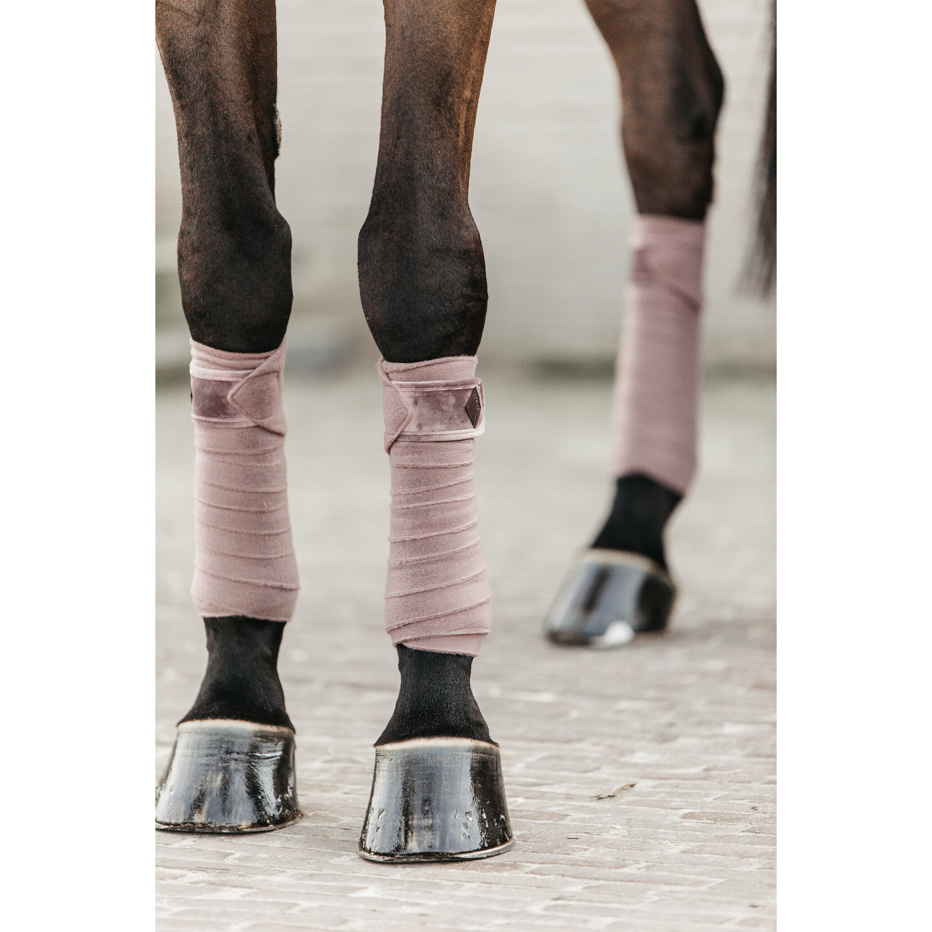 Bandes de polo Velvet  - Kentucky 3/7