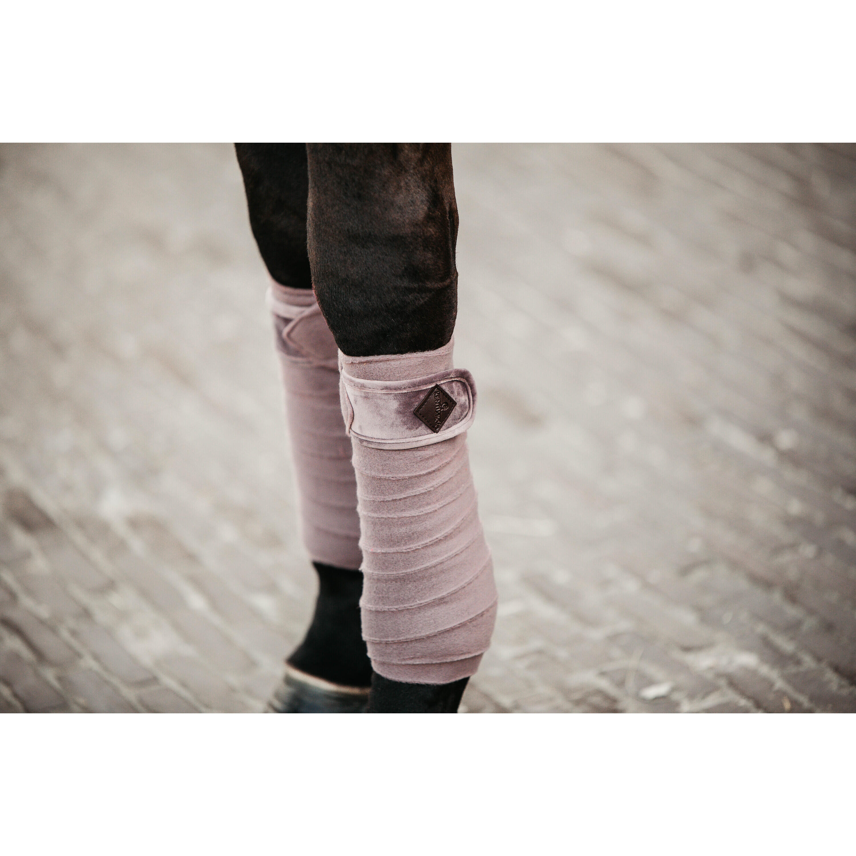 Bandes de polo Velvet  - Kentucky 2/7