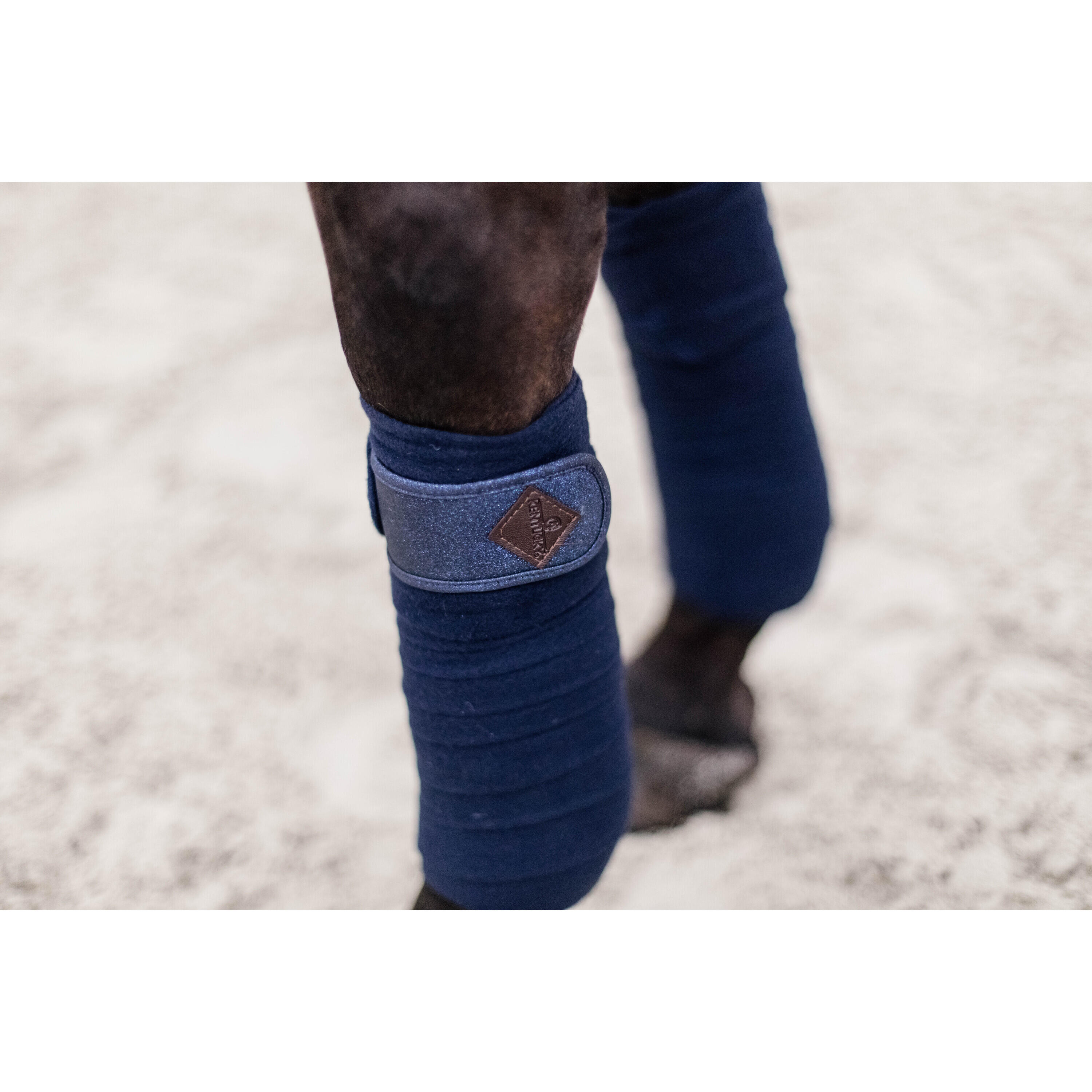 Bandes de polo Glitter - Kentucky 2/7
