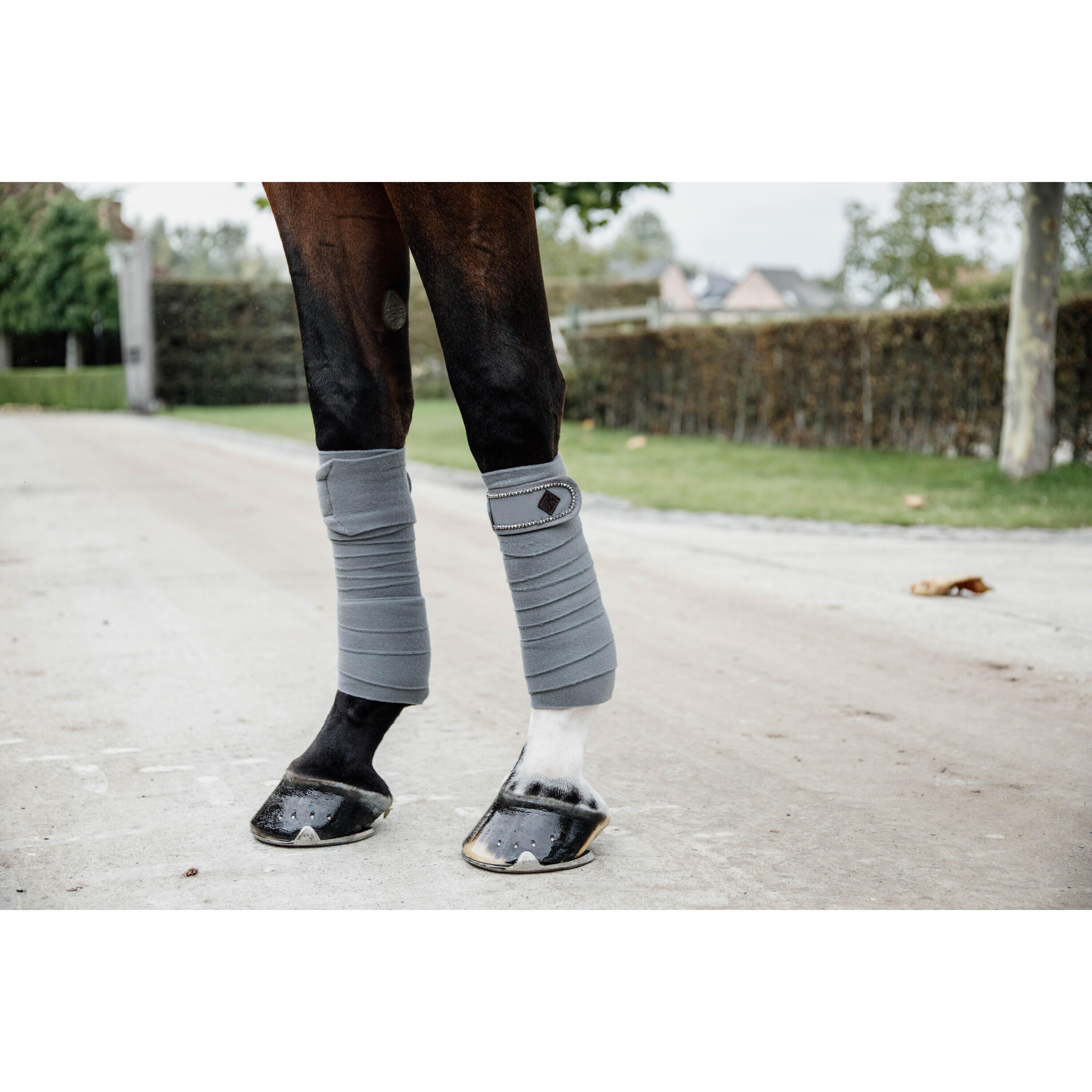 Bandes de polo pour cheval Kentucky Pearls 2/7
