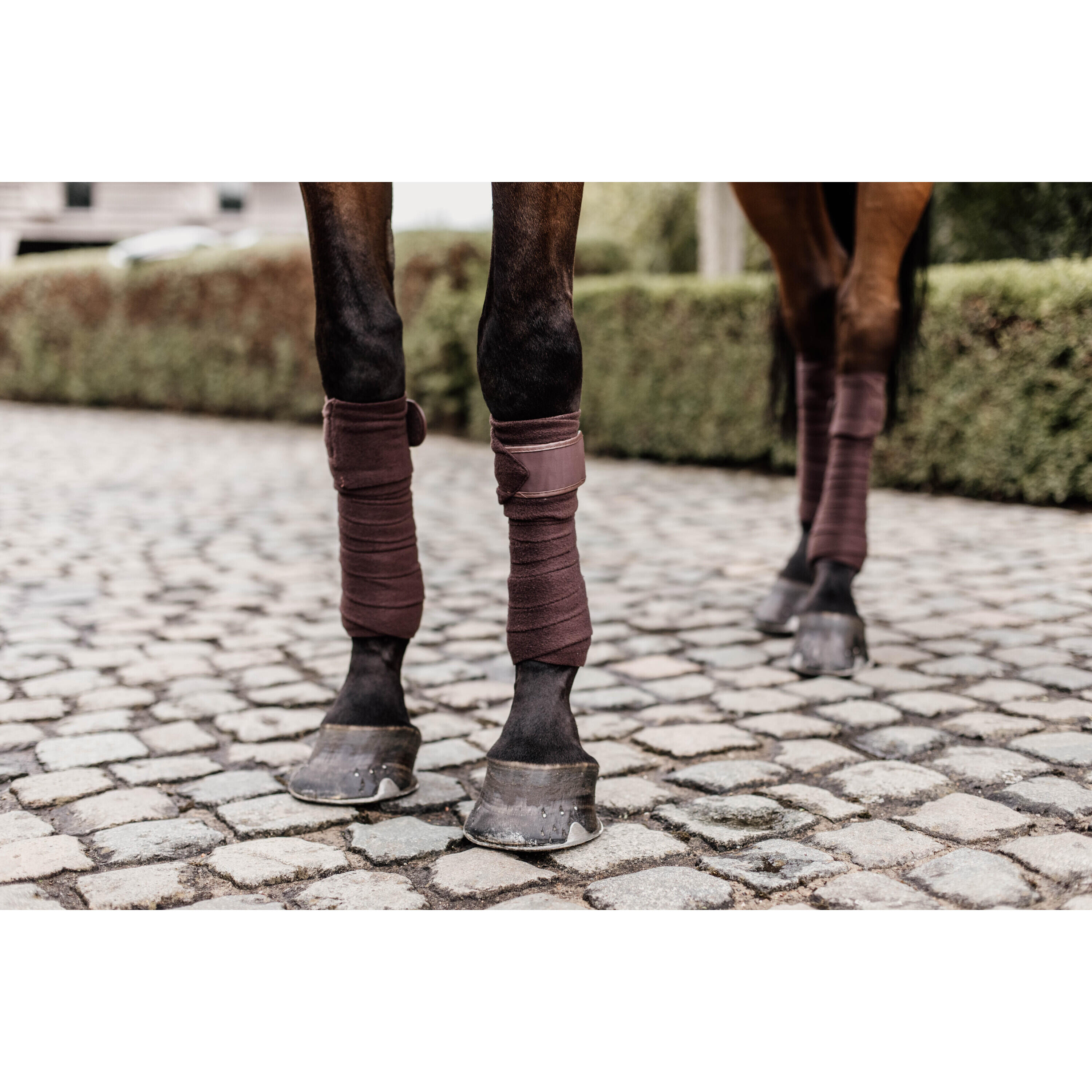 Polo wraps for horse Kentucky 2/7