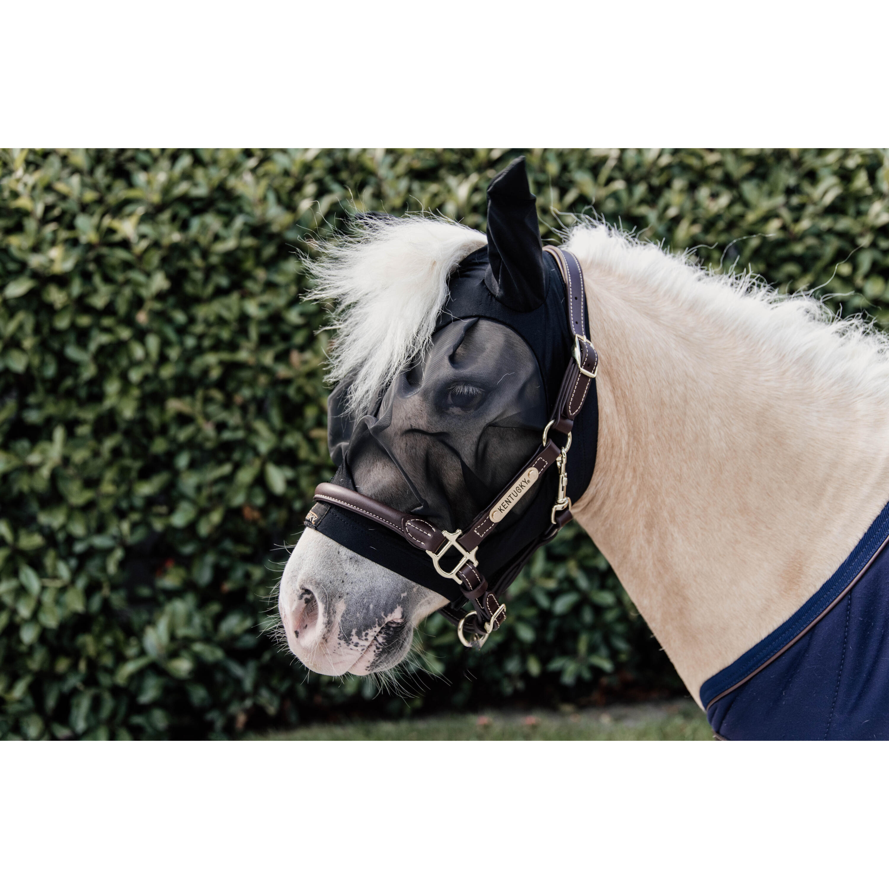 Máscara anti-voo para cavalos Kentucky Slim Fit 2/7
