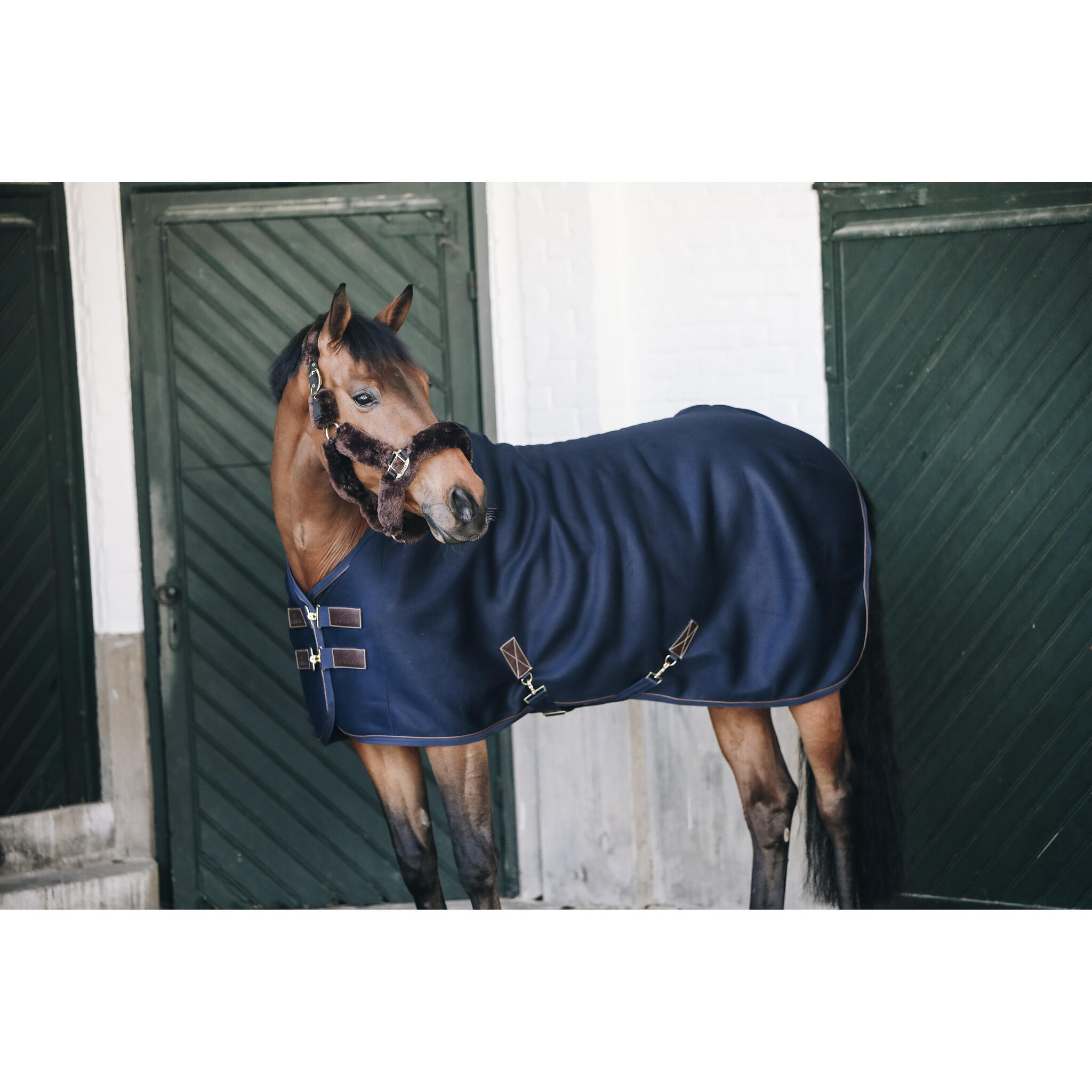 Coperta asciugante 3d per cavalli Kentucky Spacer Cooler 2/4