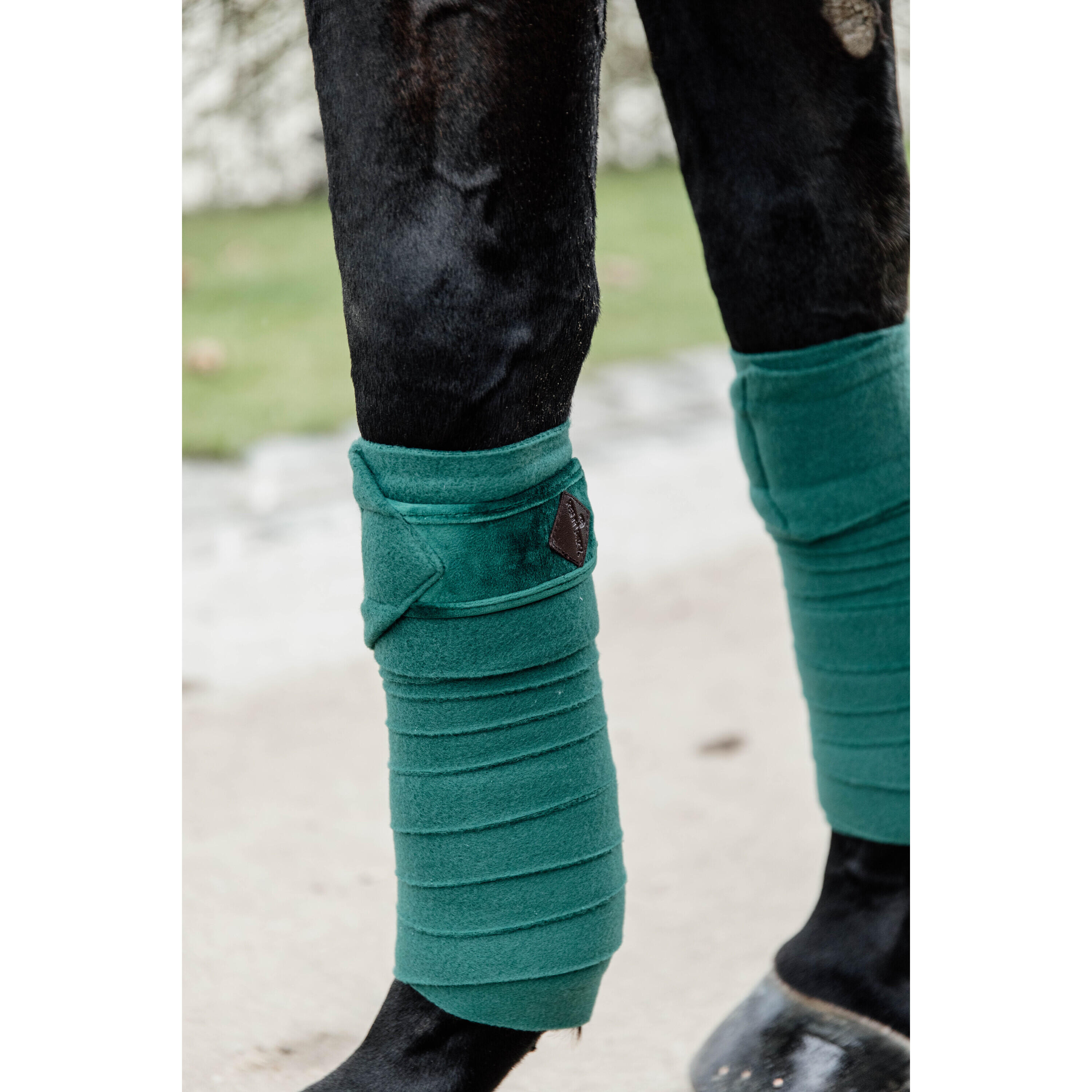 Bandes de polo Velvet  - Kentucky 2/7