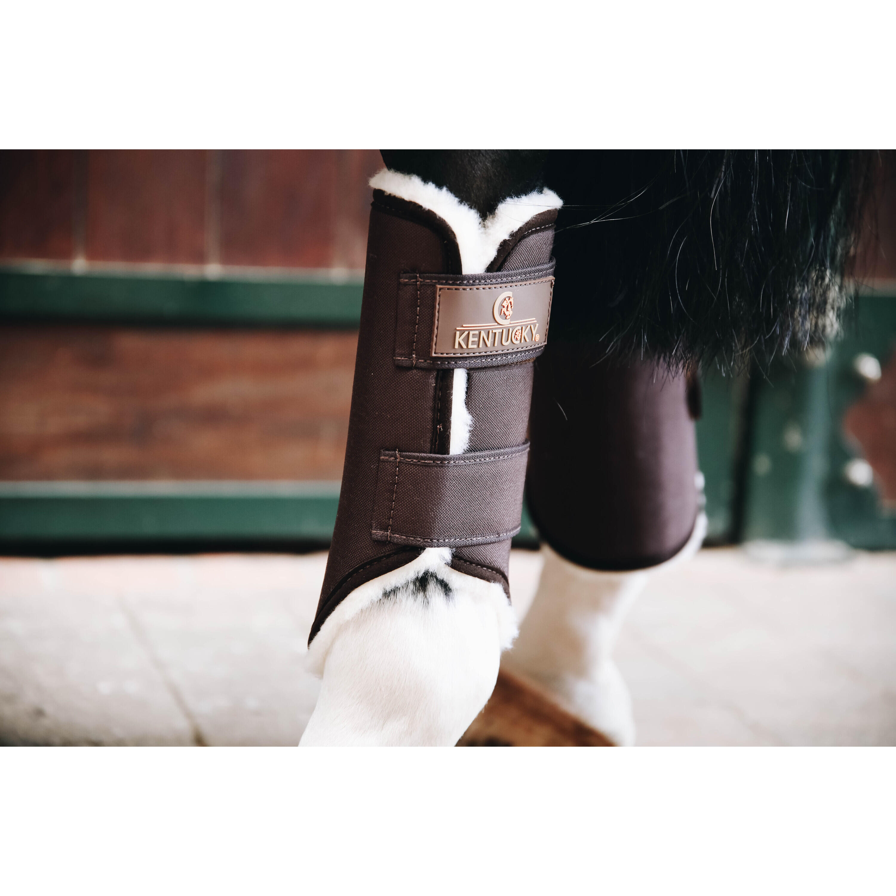 Guêtres pour cheval ouvertes postérieurs Kentucky Solimbra 2/2