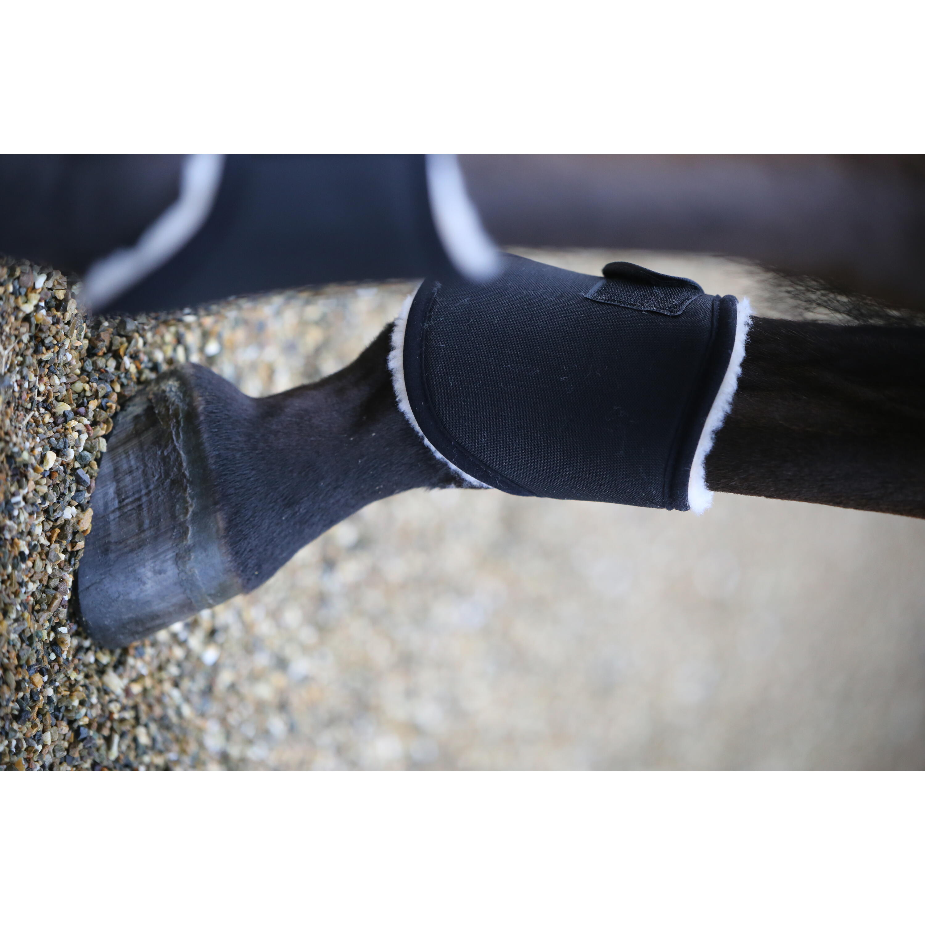 Hind open horse gaiters Kentucky Solimbra 2/3