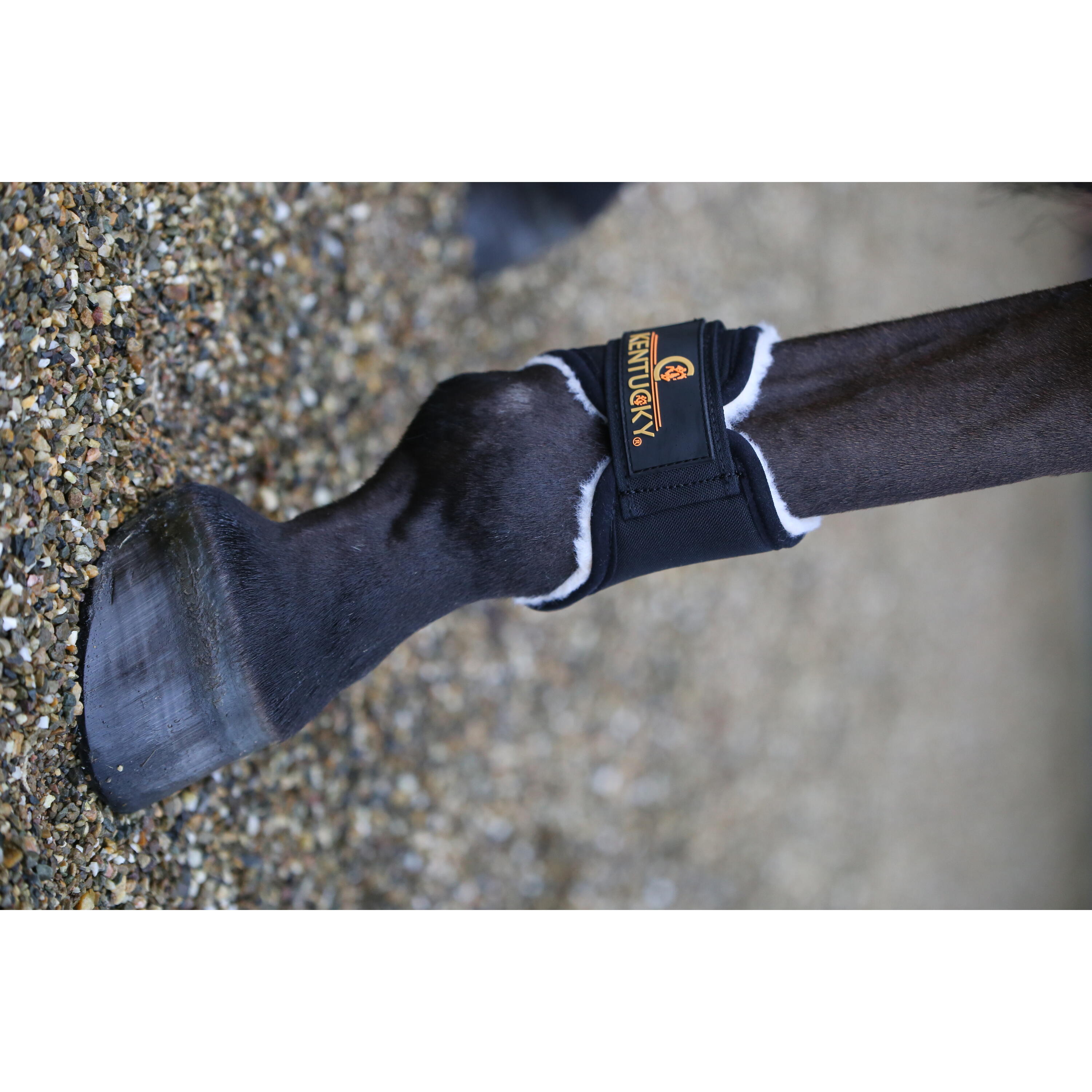 Hind open horse gaiters Kentucky Solimbra 3/3
