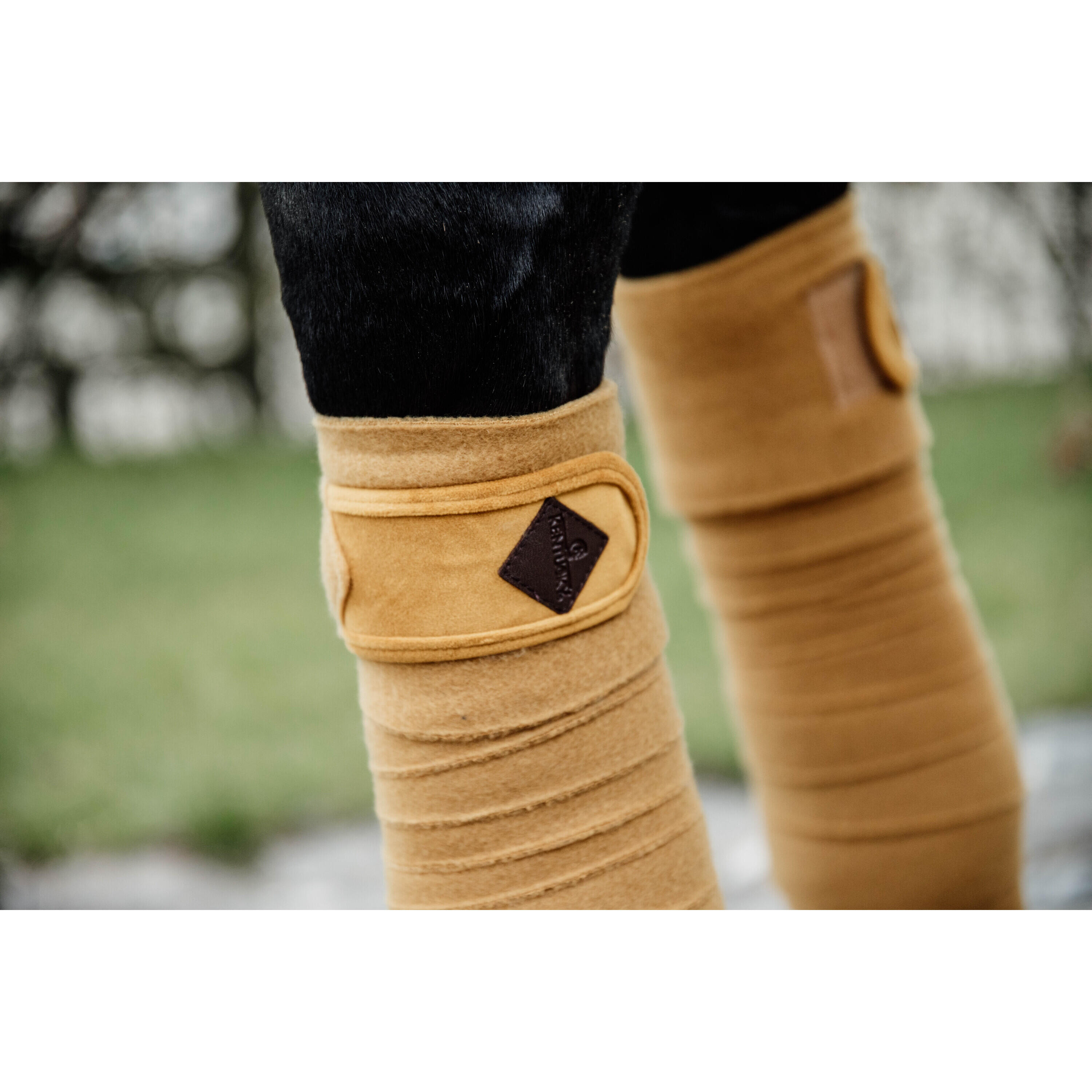 Bandes de polo Velvet  - Kentucky 2/7