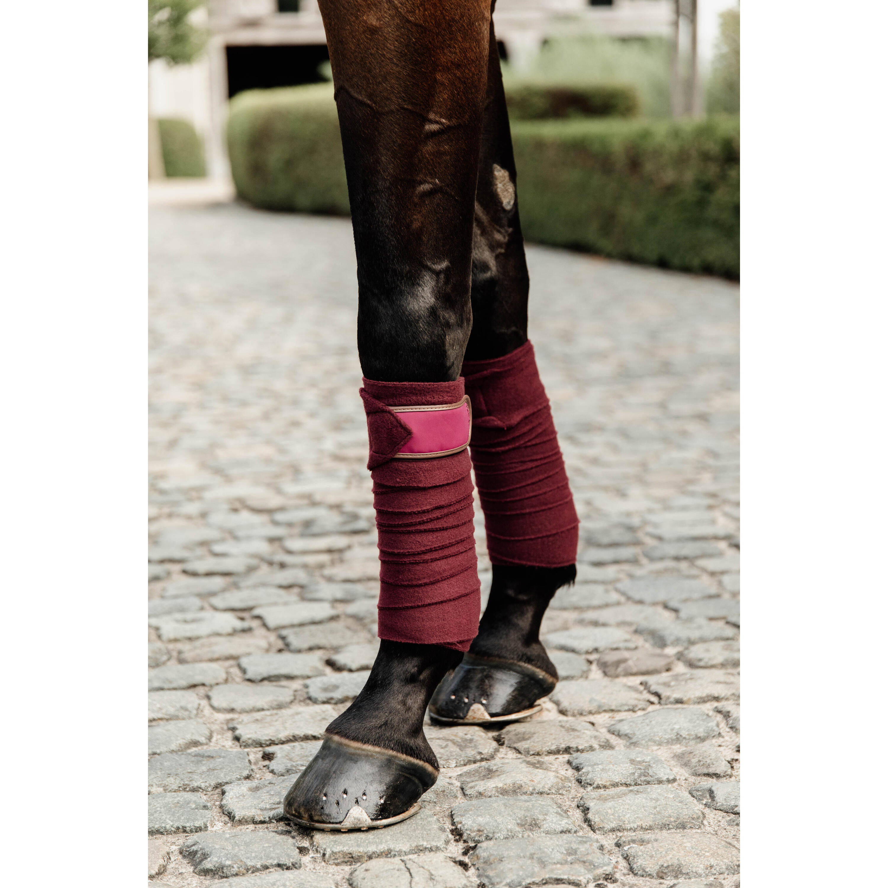 Bandes de polo avec bord cuir - Kentucky 3/7