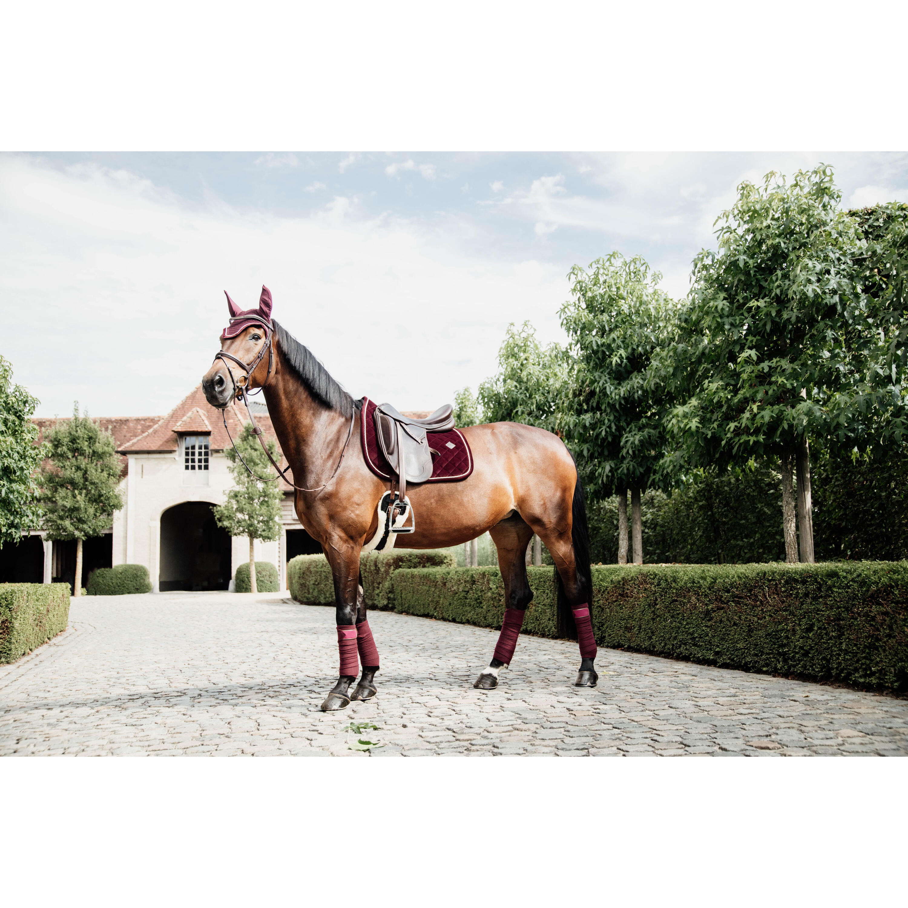 Bandes de polo avec bord cuir - Kentucky 2/7