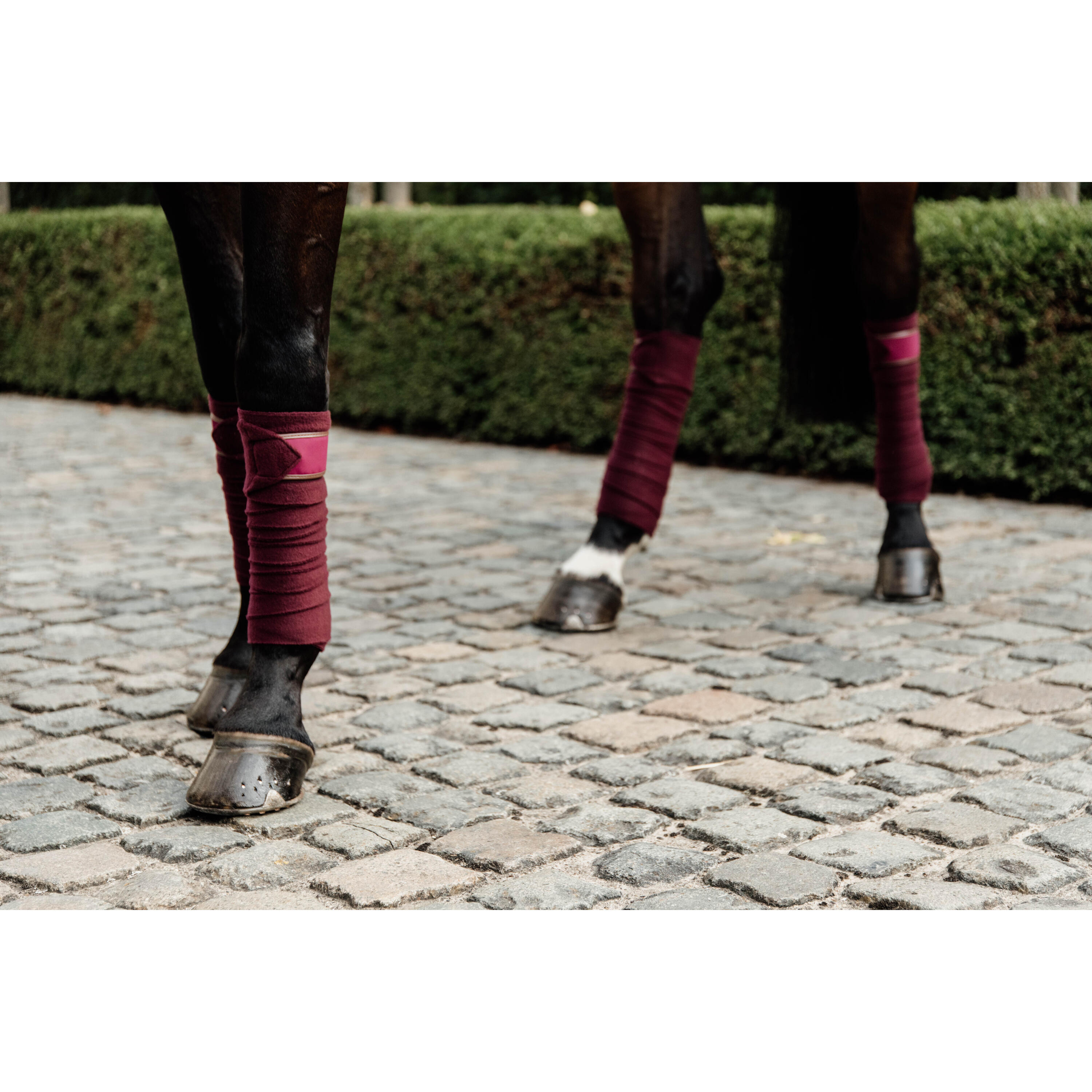 Bandes de polo avec bord cuir - Kentucky 4/7