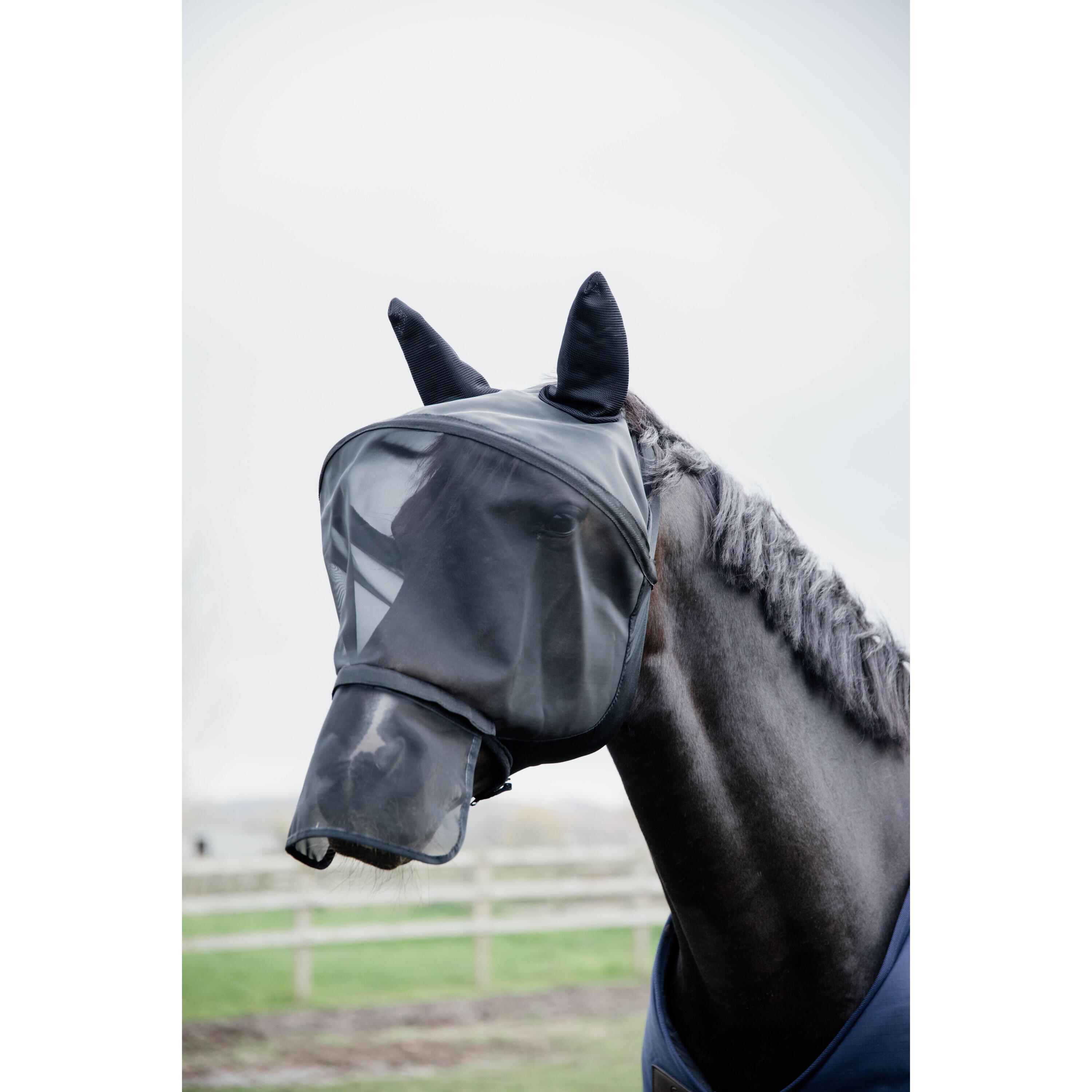 Fliegenmaske Pro Schwarz Full 3/5