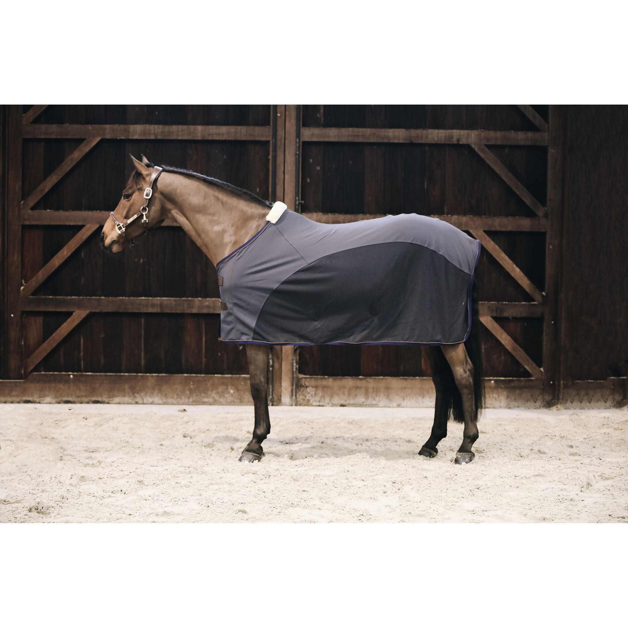 Abschwitzdecke Kentucky Cooler Softshell 2/5