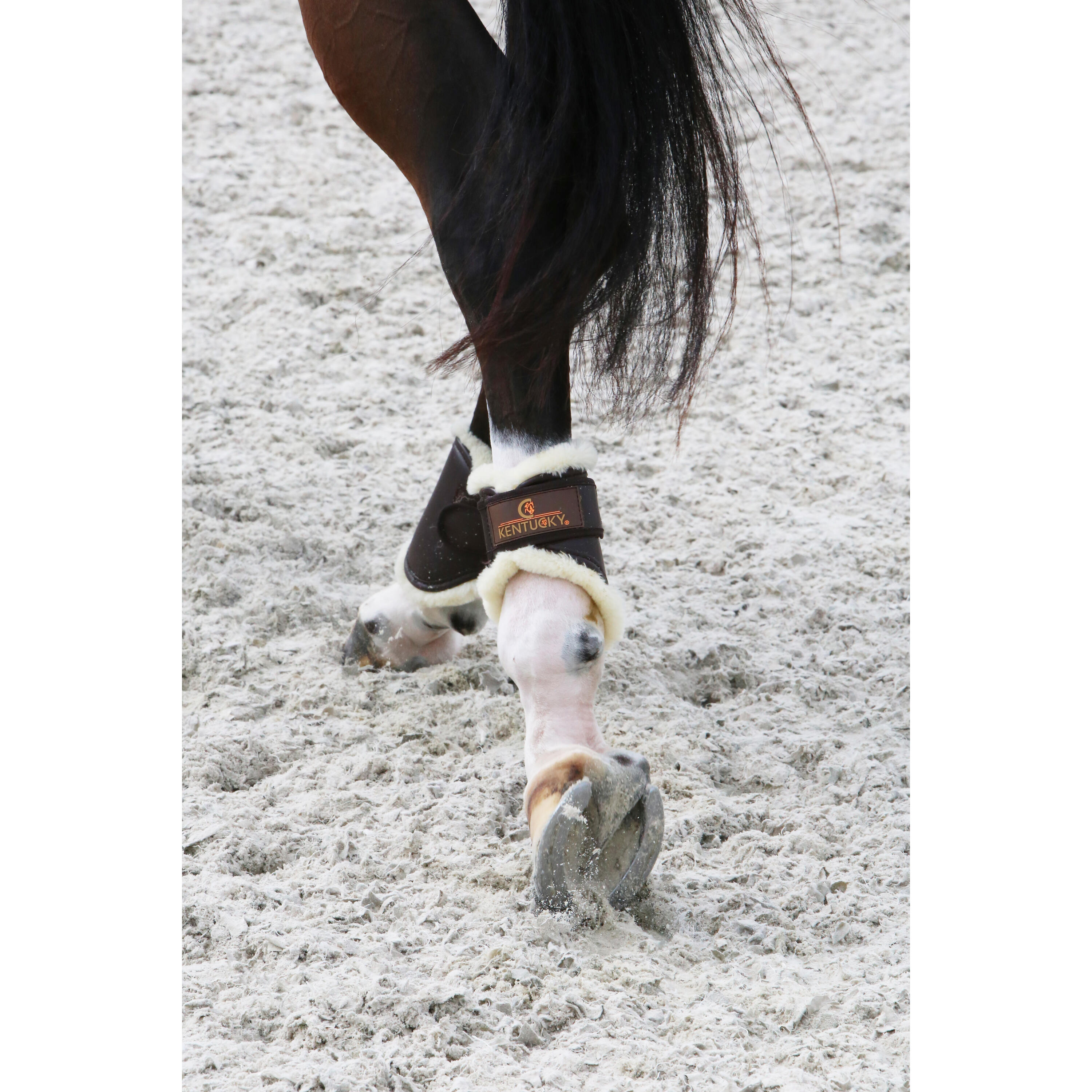Guêtres pour cheval ouvertes cuir postérieurs Kentucky Tunout 2/2