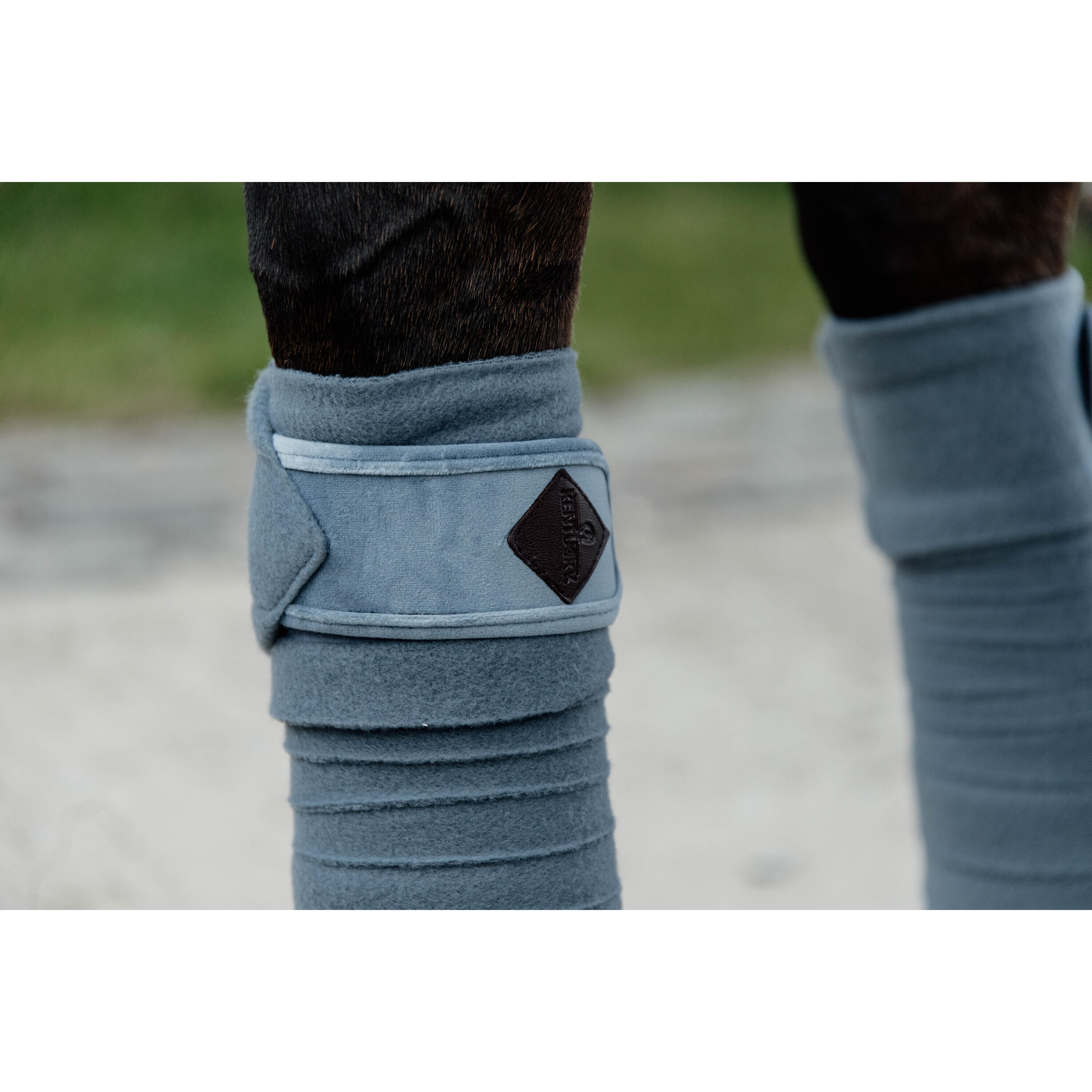 Bandes de polo Velvet  - Kentucky 2/2