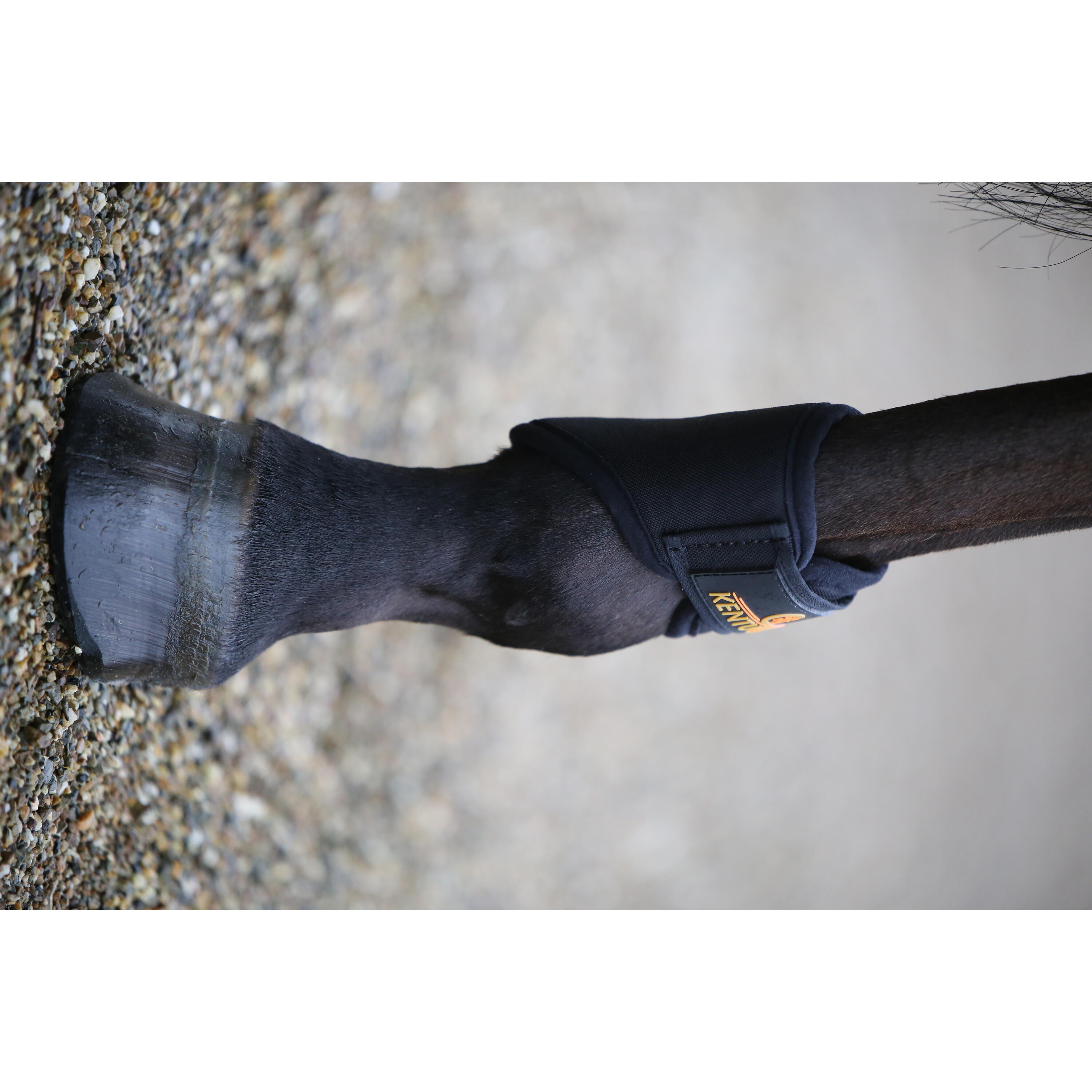 Fetlock guards Kentucky Short 3D Spacer 2/2