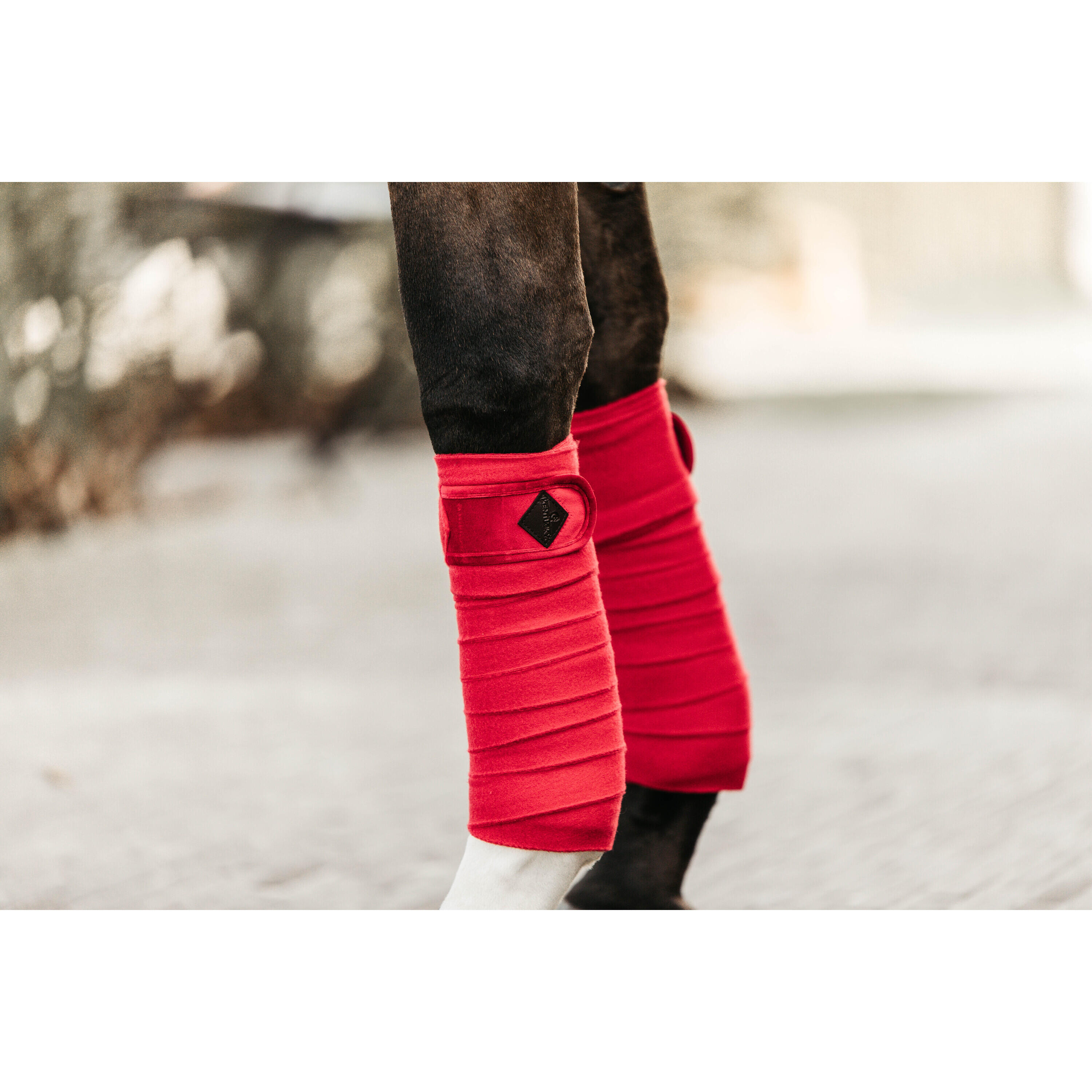 Bandes de polo Velvet  - Kentucky 2/2