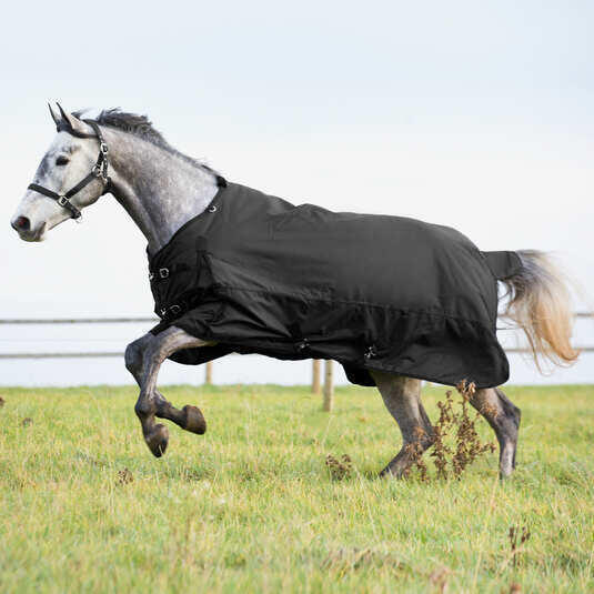 Couverture d'extérieur pour cheval à garnissage moyen Horze Nevada