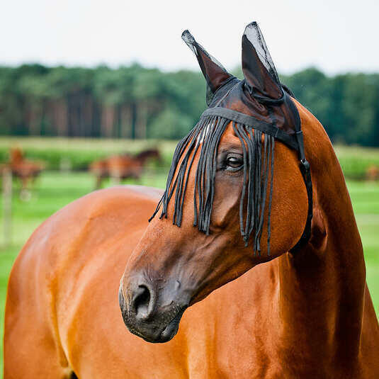 Horse fly mask with ears Horze