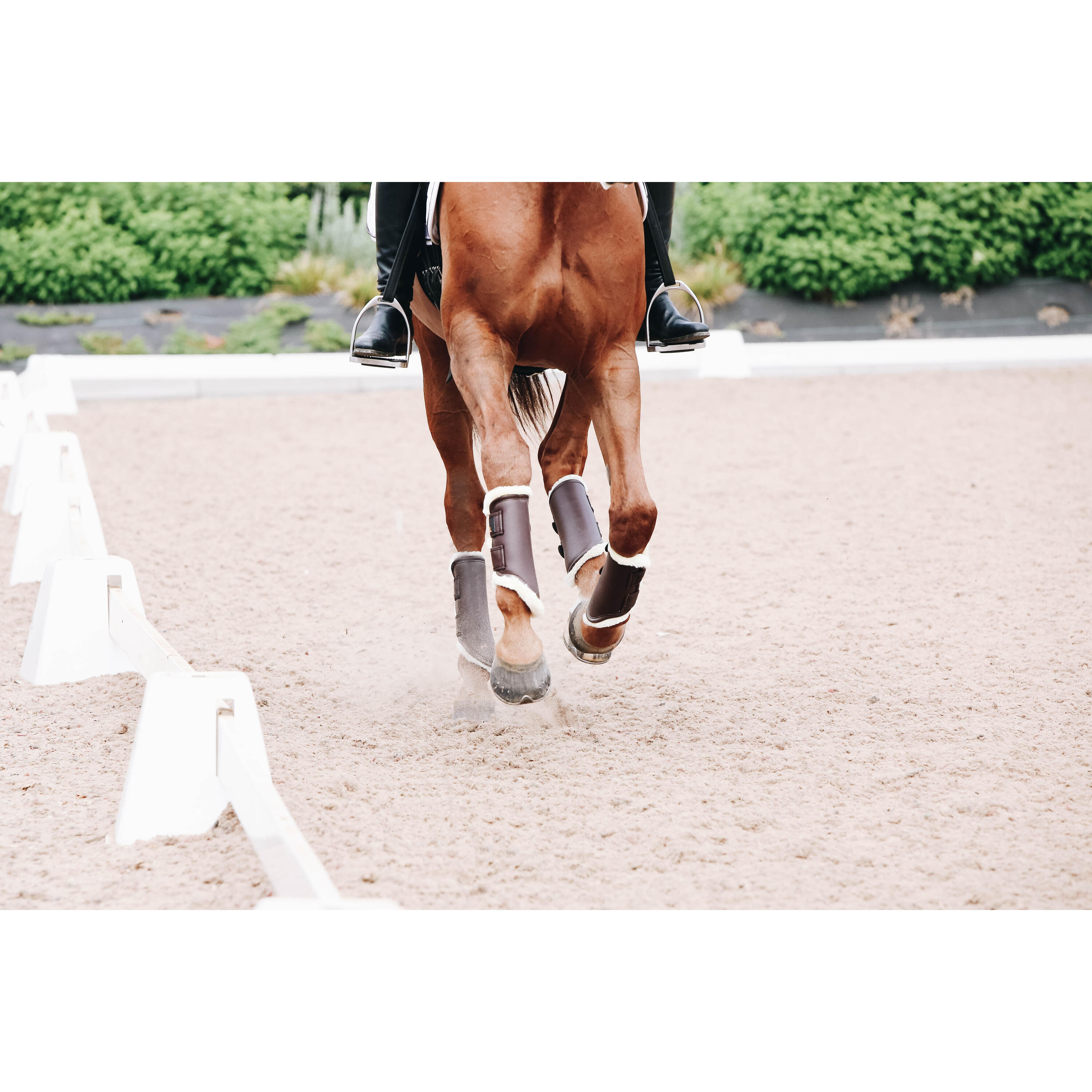 Guêtres pour cheval ouvertes cuir antérieurs Kentucky Turnout 3/3