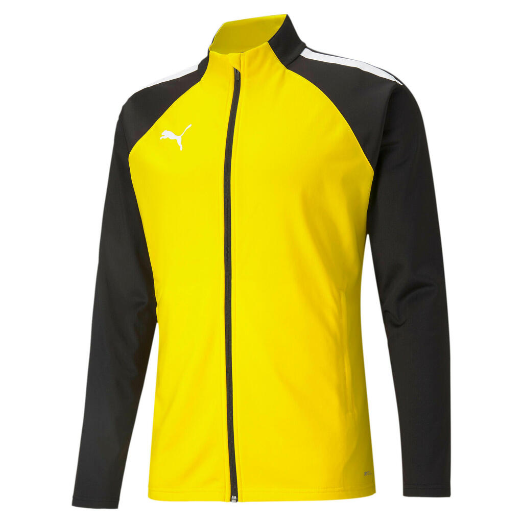Tracksuit Puma Teamliga