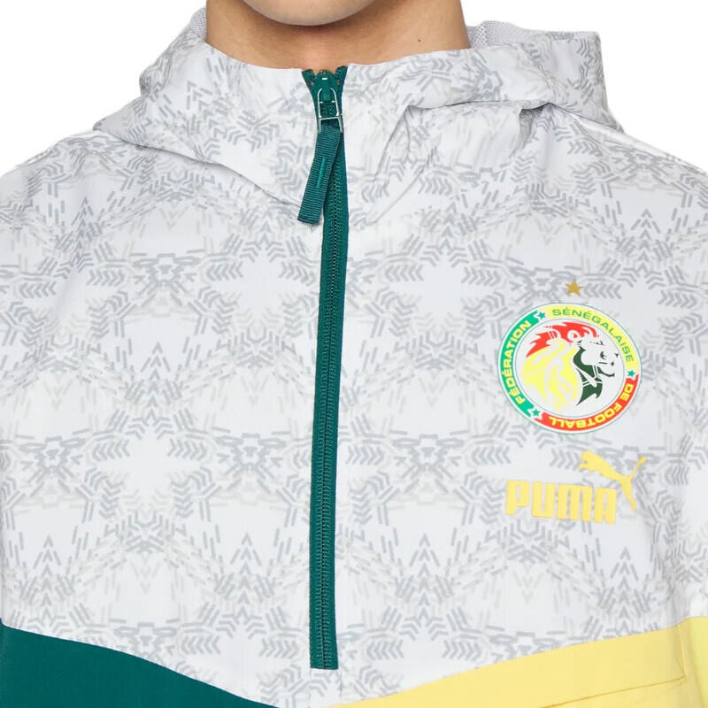 Felpa con cappuccio Puma FSF Graphic 4/4