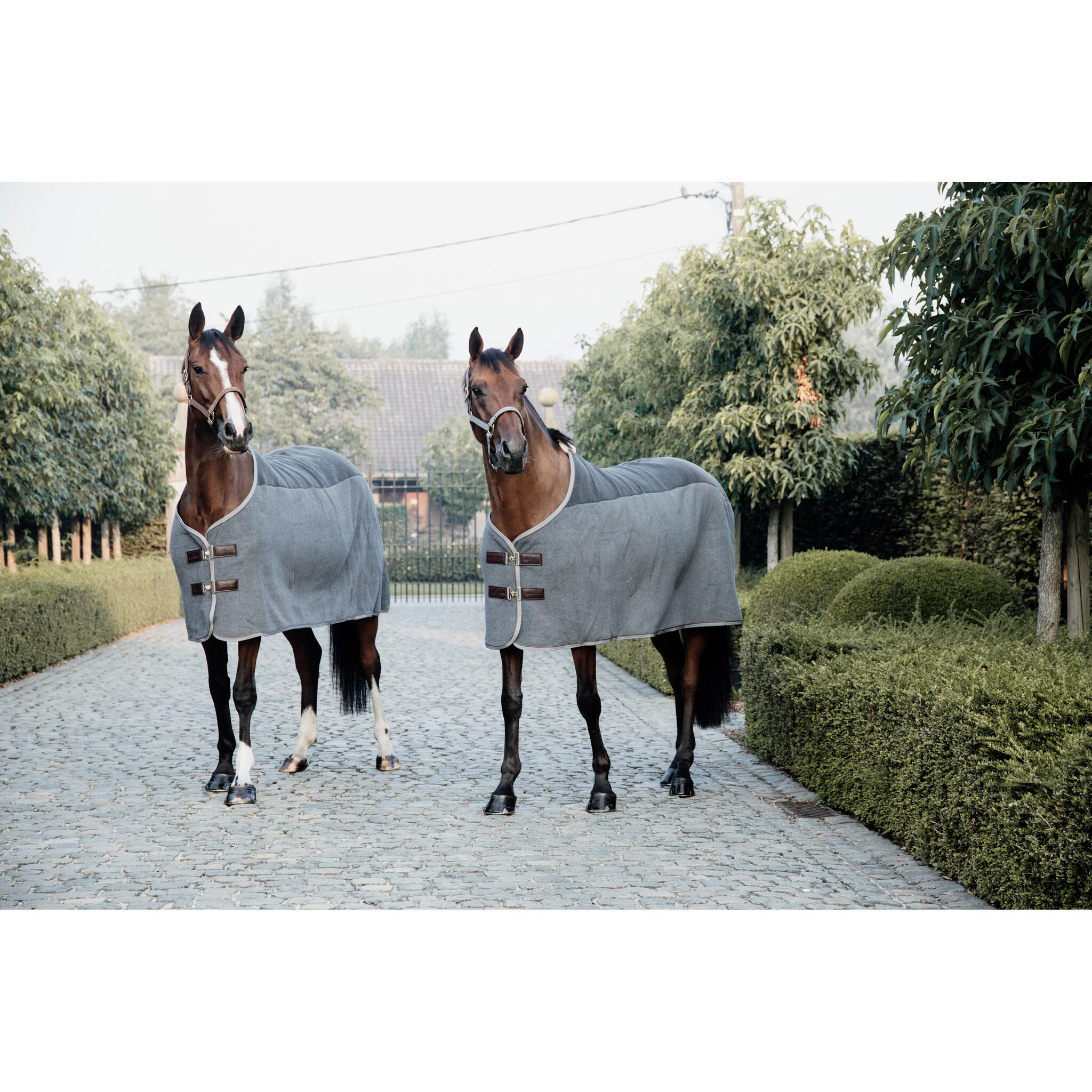 Coperta asciugante per cavalli Kentucky Heavy Fleece 2/4