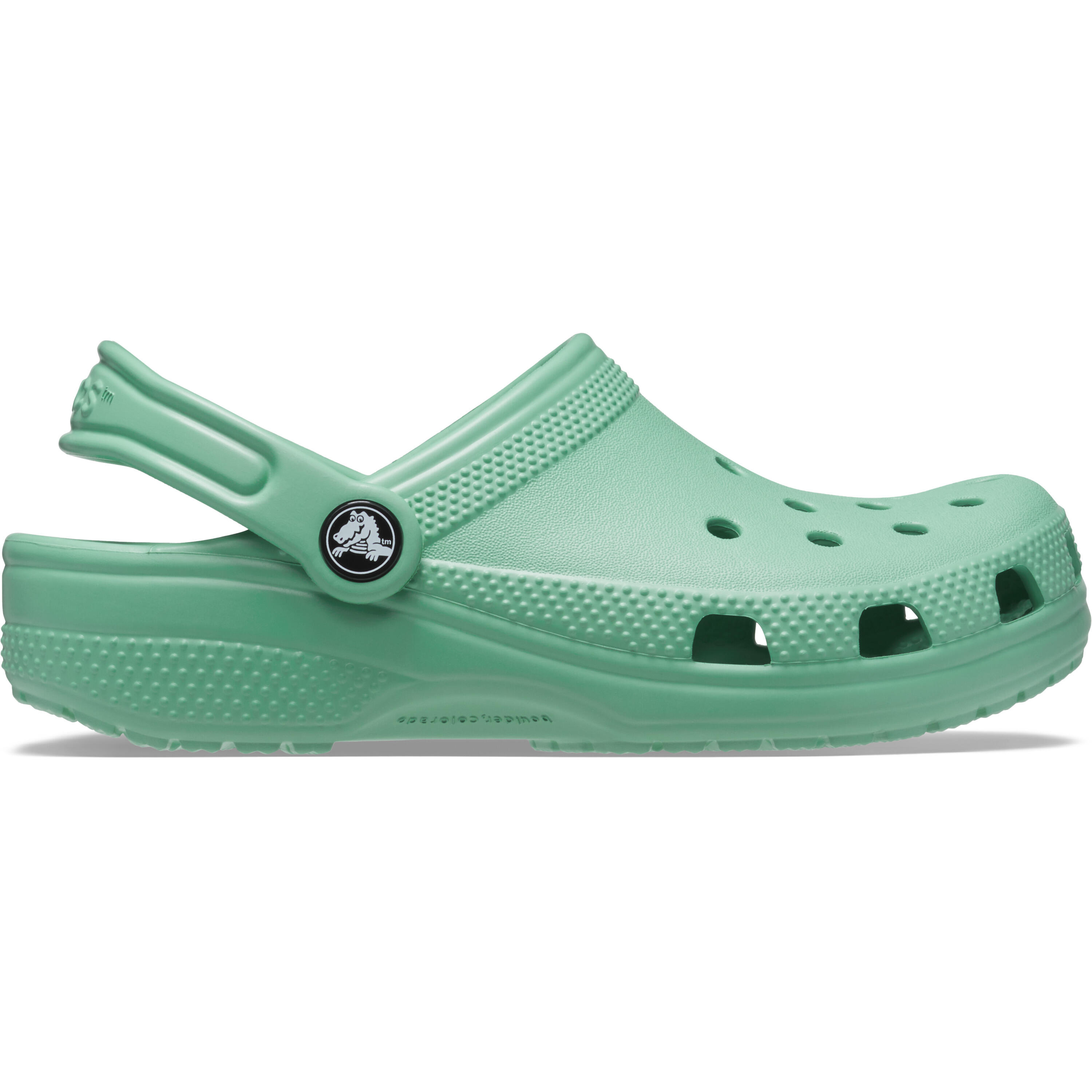 CROCS picture