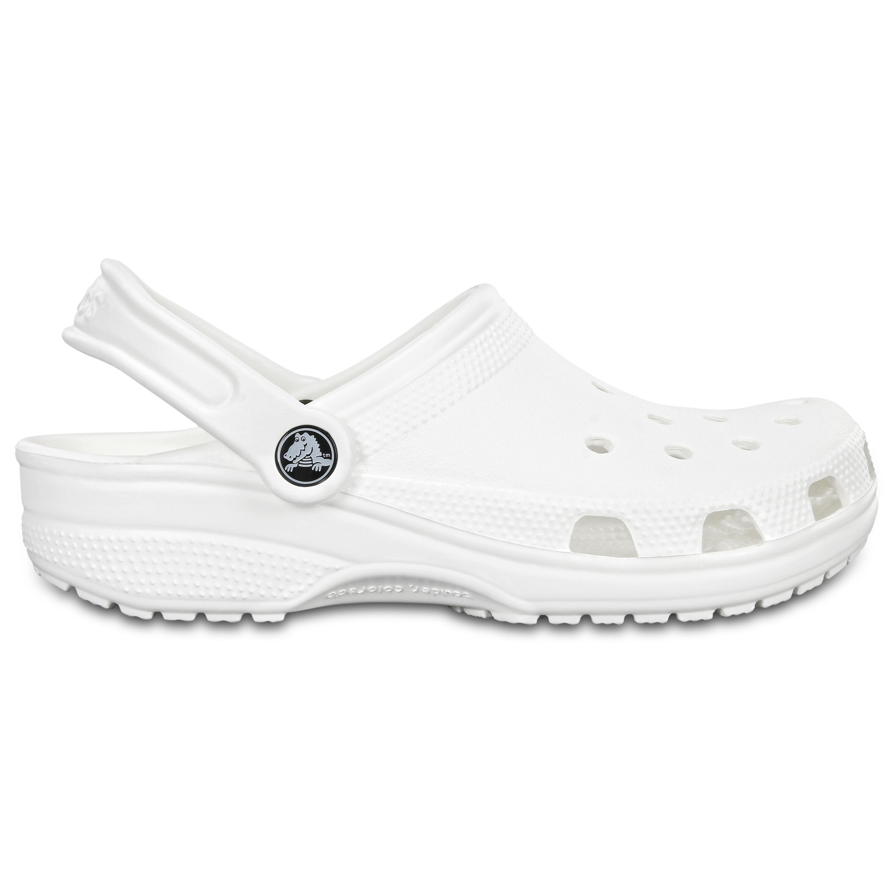 CROCS picture