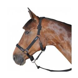 Licol pour cheval nylon/cuir Flags&Cup
