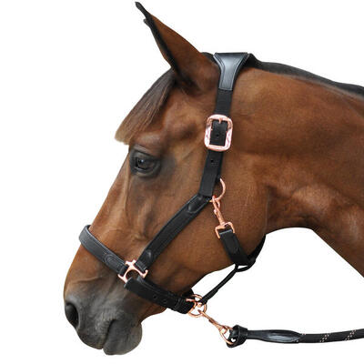 Nylon/leren halster flags&cup