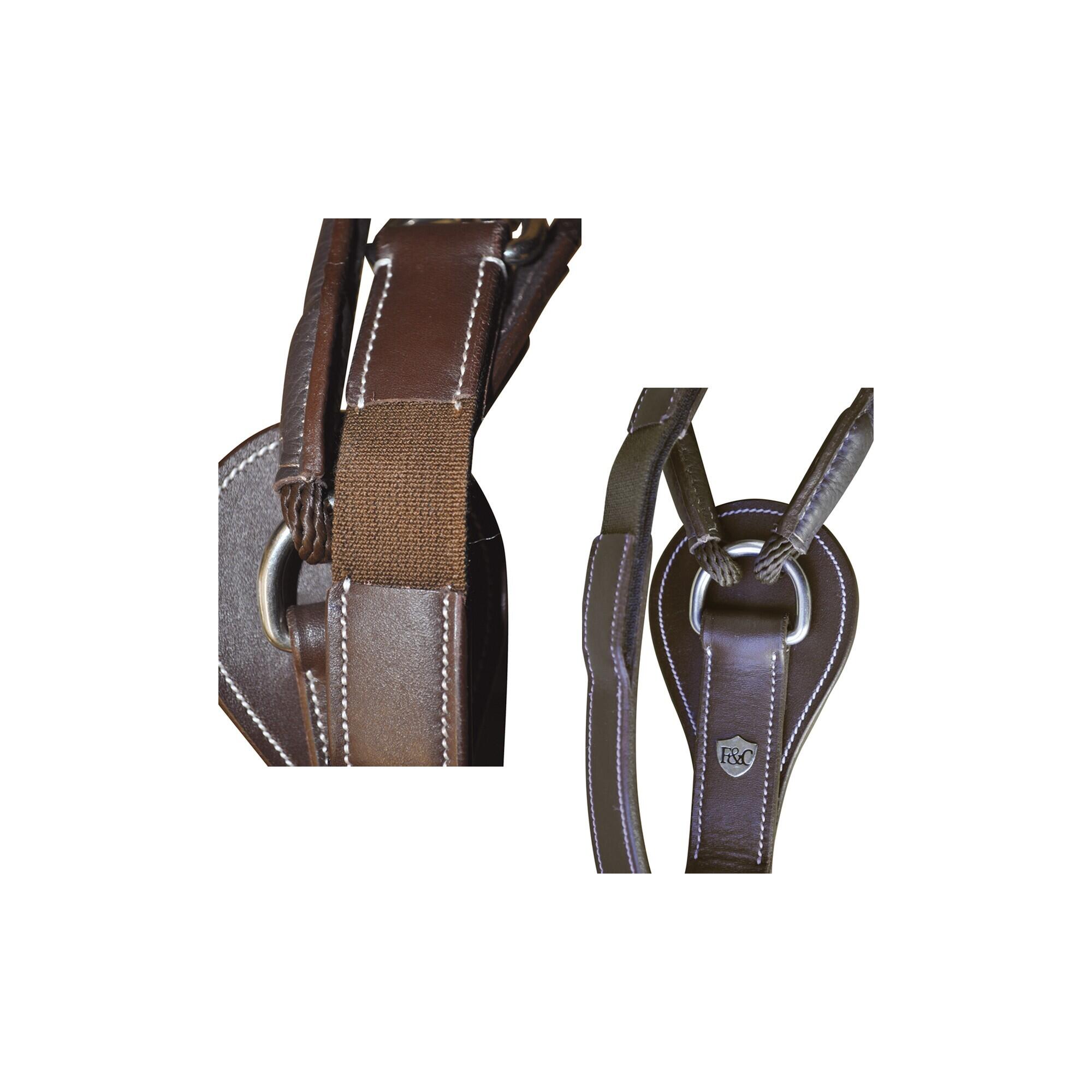 Smart Horse Gogue Flags&Cup 2/3