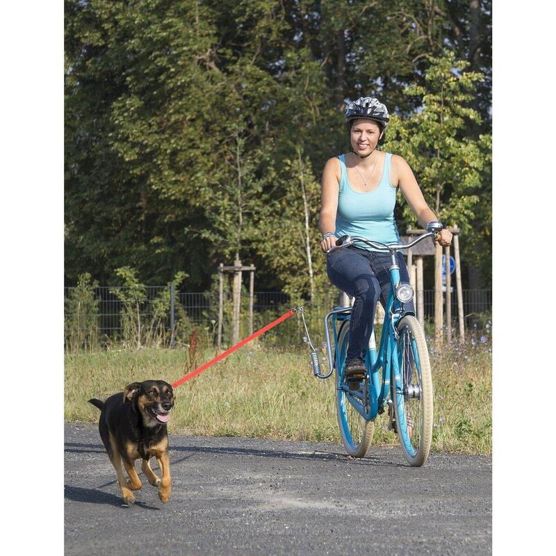 Laisse de chien pour vélo