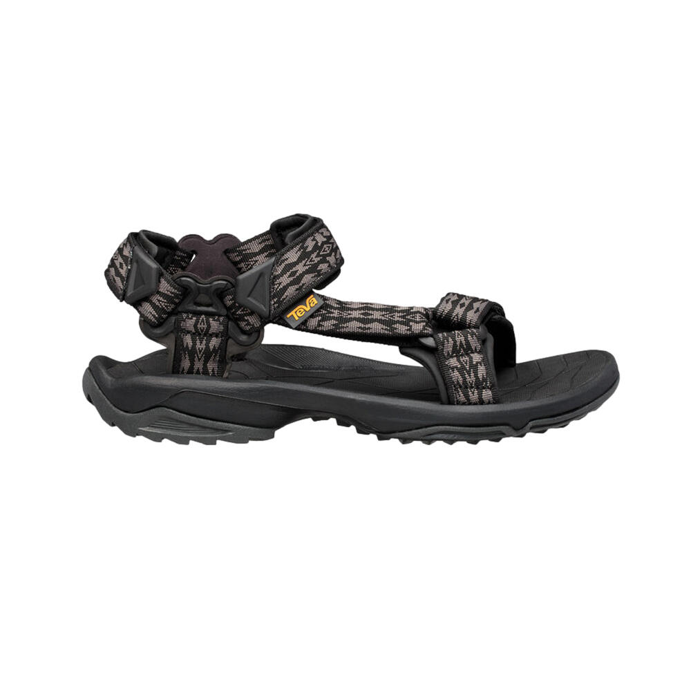 TEVA picture