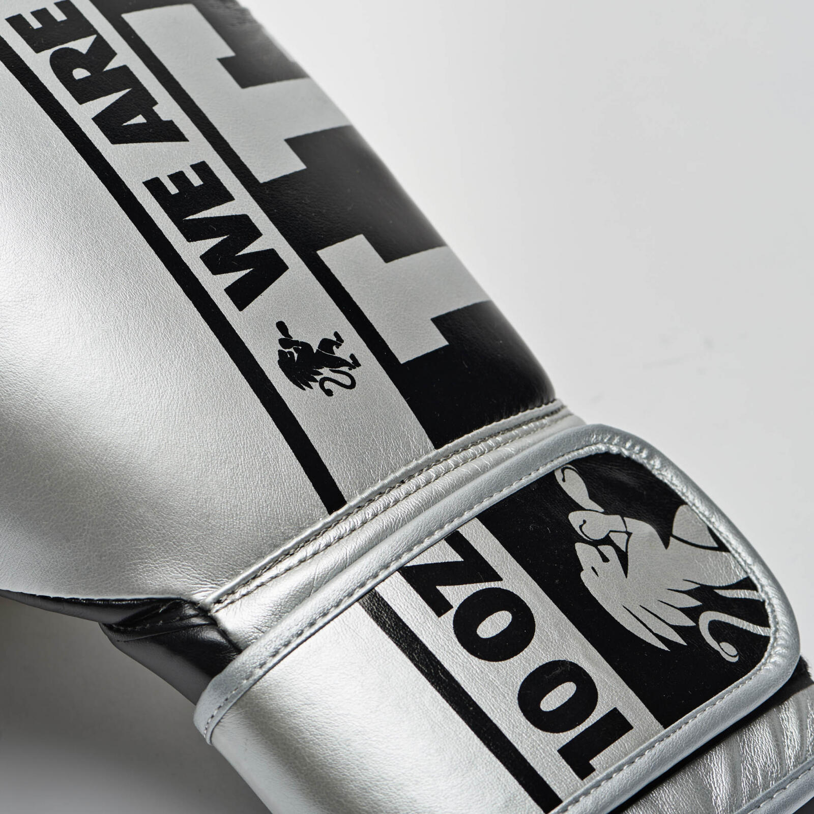 GUANTI BOXE NEXPLOSION ARGENTO 5/7
