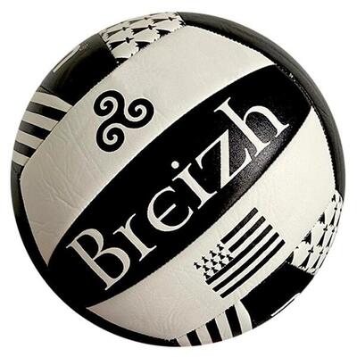 Volleybal bal molten bretagne
