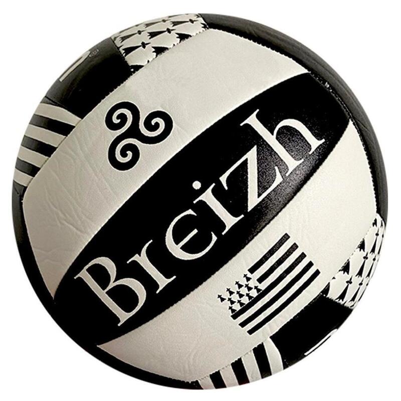 Volleybal bal Molten Bretagne