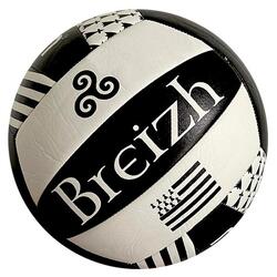 Ballon de Beach Volley Molten BZH