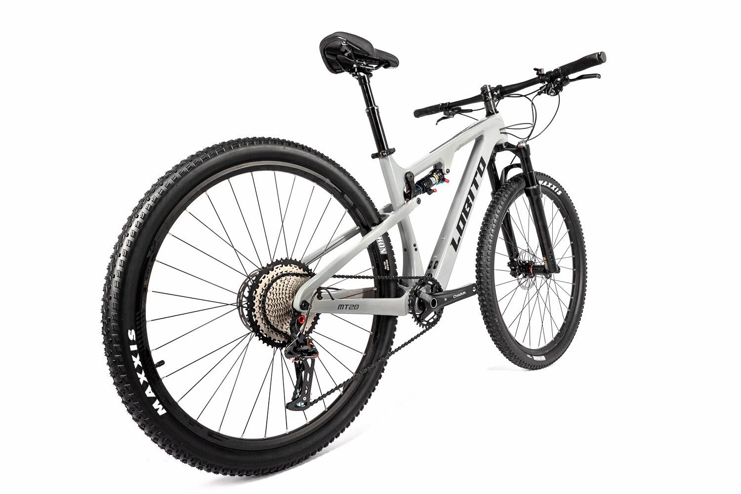 Bicicleta de montaña 29" marco de carbono Lobito MT20 Gris 2/7