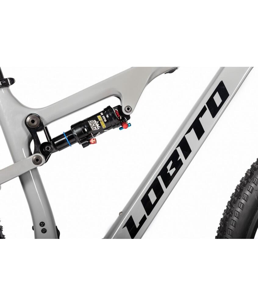 Bicicleta de montaña 29" marco de carbono Lobito MT20 Gris 4/7