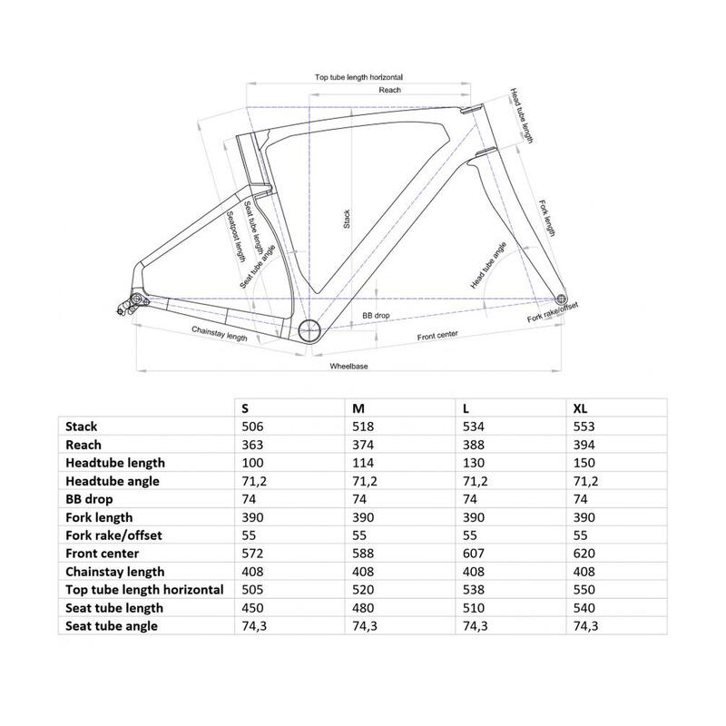 BICI DA CORSA LOBITO RV08, con telaio in carbonio, GRUPPO RETROSPEC (SENSAH) 11V