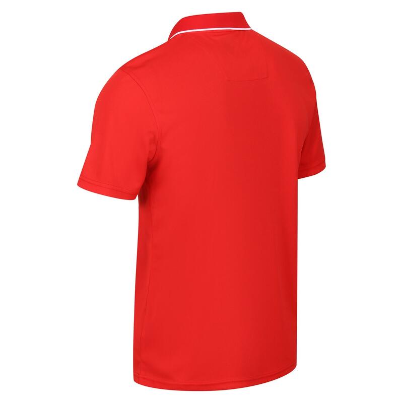 Poloshirt MaverikV Wandern/Outdoor/Trekking Herren Seville Atmungsaktiv REGATTA