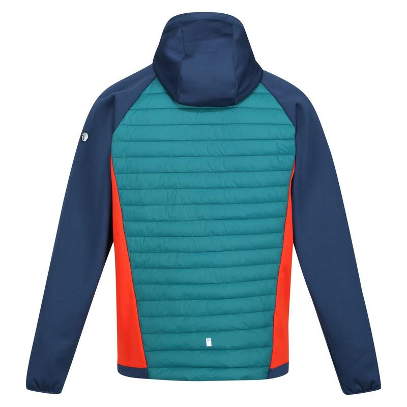 Casacos Softshell Homem - REGATTA Andreson VII Hybrid - Pacific