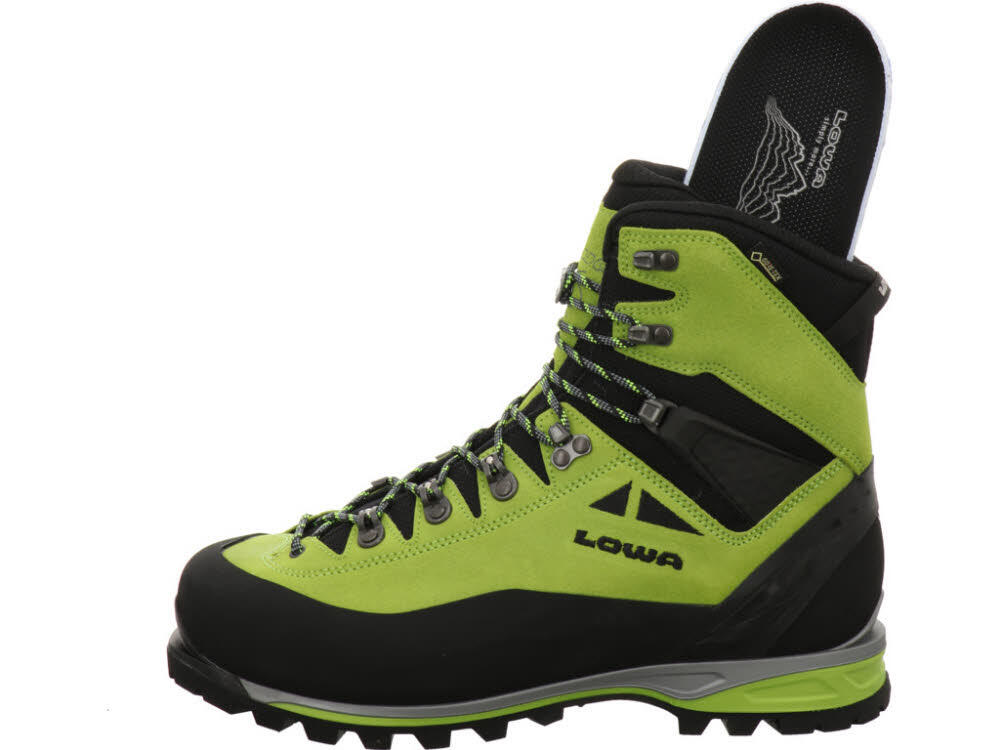 Wanderschuh Alpine Expert GTX men 6/7