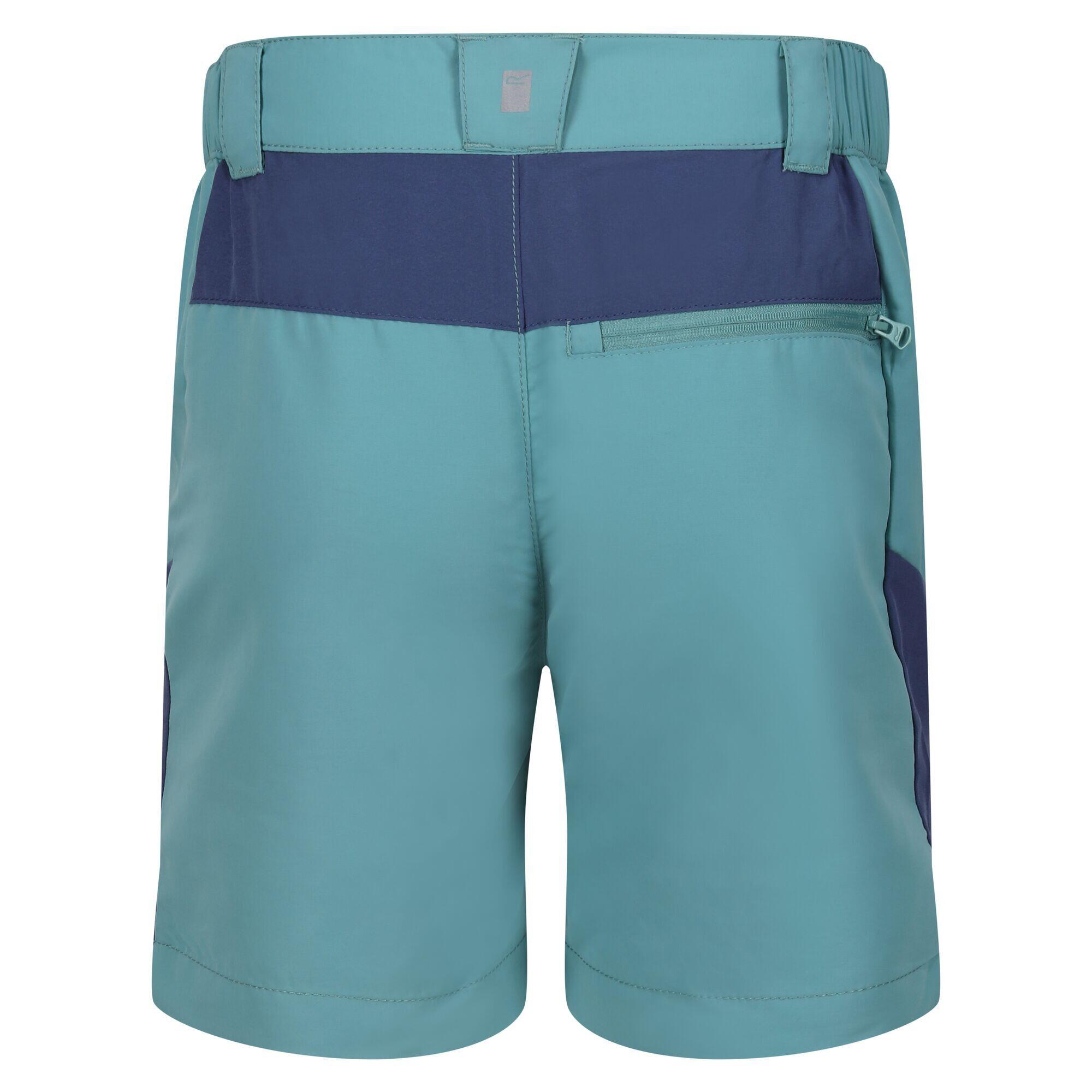 Sorcer Mountain III Kids' Hiking Shorts 7/7